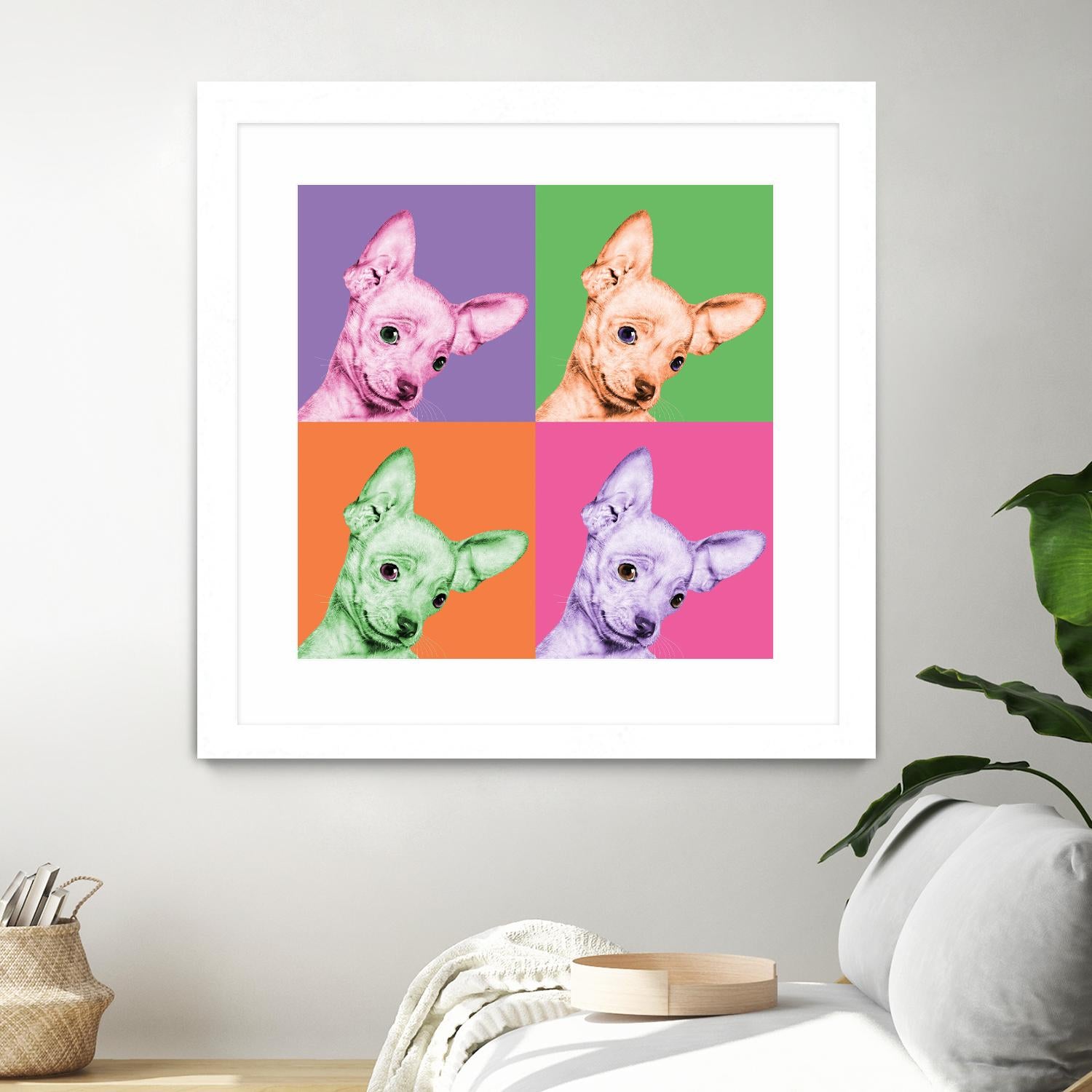 Sweet Chihuahua Pop by Jon Bertelli on GIANT ART - multicolor animals; photography; contemporary