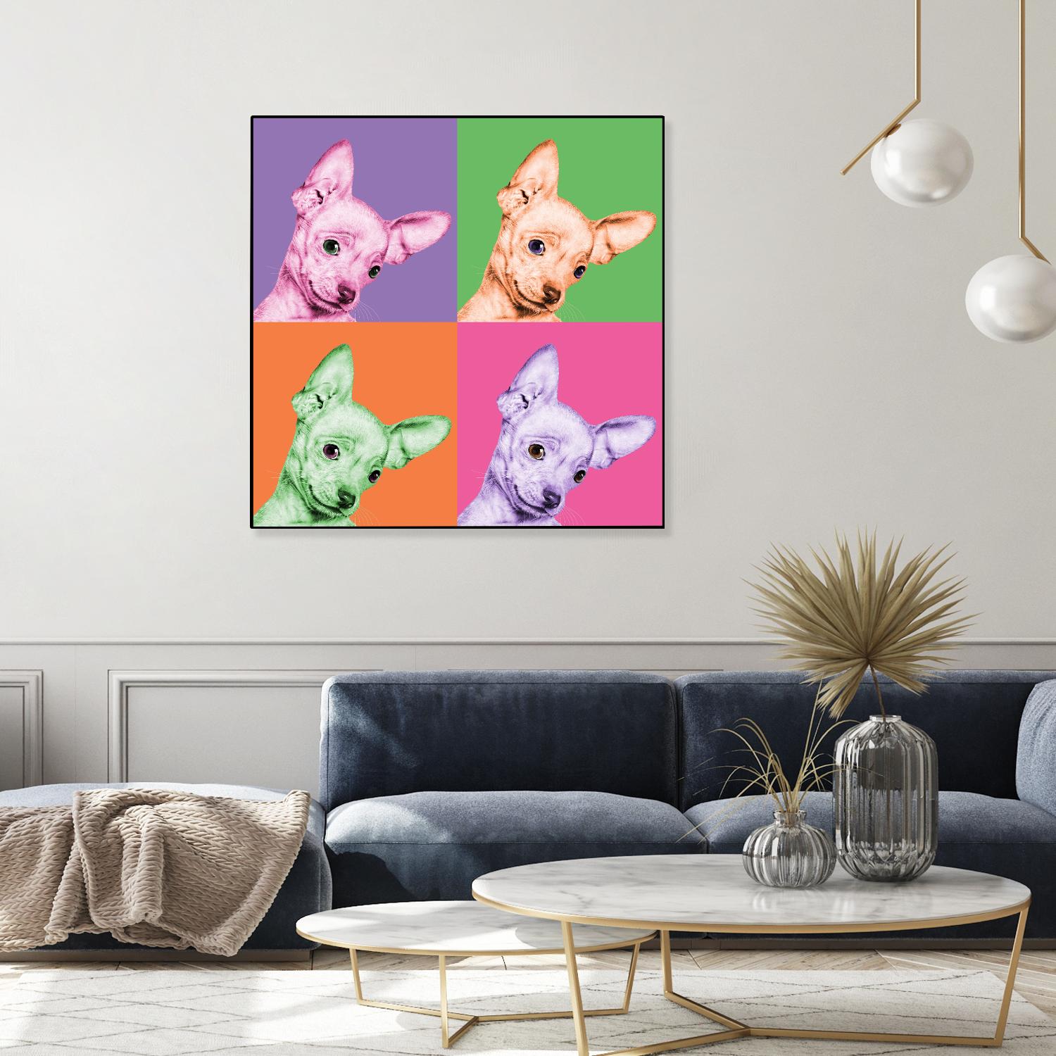 Sweet Chihuahua Pop by Jon Bertelli on GIANT ART - multicolor animals; photography; contemporary