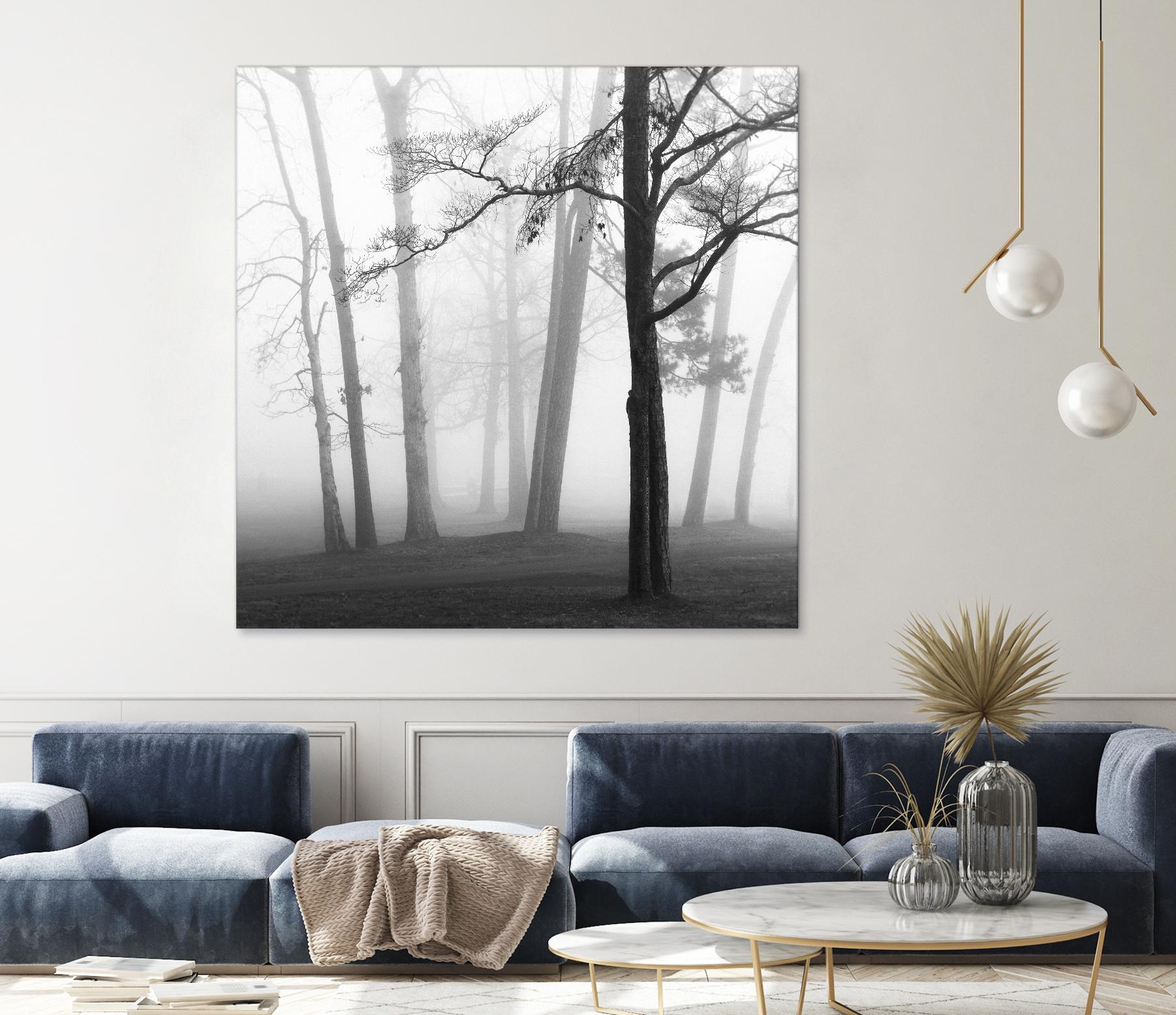 Etheral Trees by Nicholas Bell on GIANT ART - pink,orange landscapes, photography