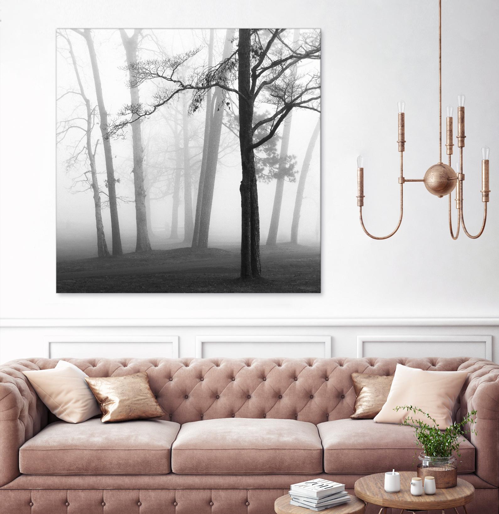 Etheral Trees by Nicholas Bell on GIANT ART - pink,orange landscapes, photography