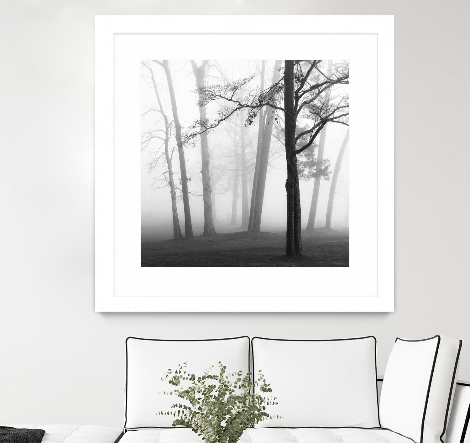 Etheral Trees by Nicholas Bell on GIANT ART - pink,orange landscapes, photography