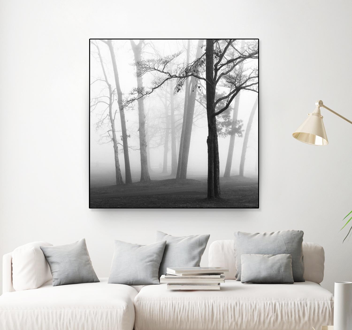 Etheral Trees by Nicholas Bell on GIANT ART - pink,orange landscapes, photography