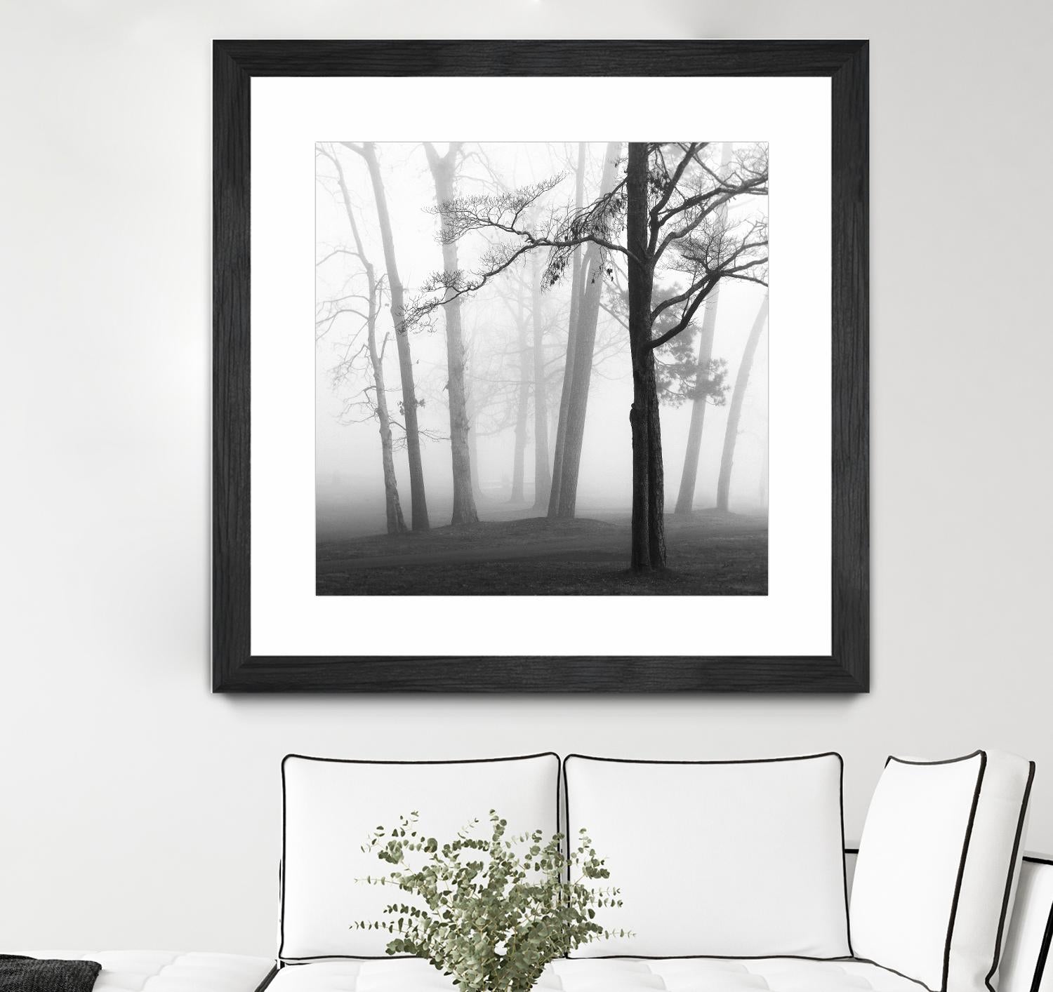 Etheral Trees by Nicholas Bell on GIANT ART - pink,orange landscapes, photography