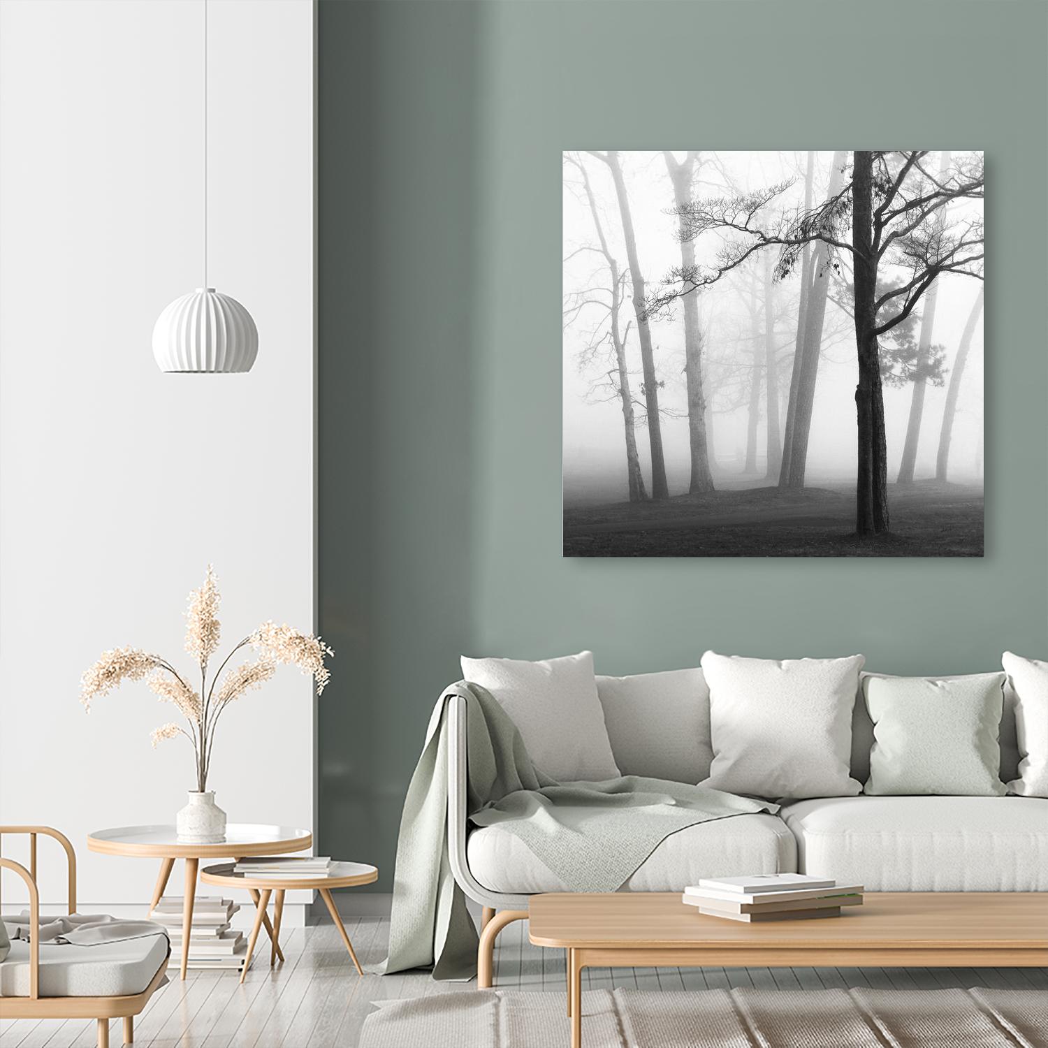 Etheral Trees by Nicholas Bell on GIANT ART - white black & white forest