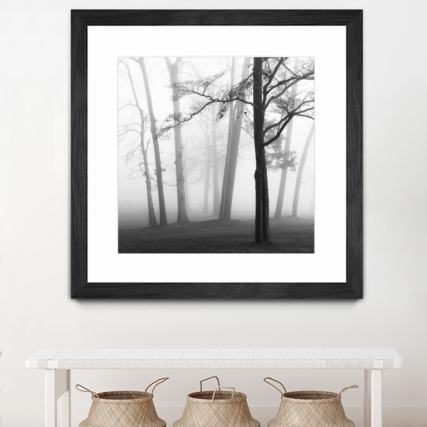 Etheral Trees by Nicholas Bell on GIANT ART - pink,orange landscapes, photography