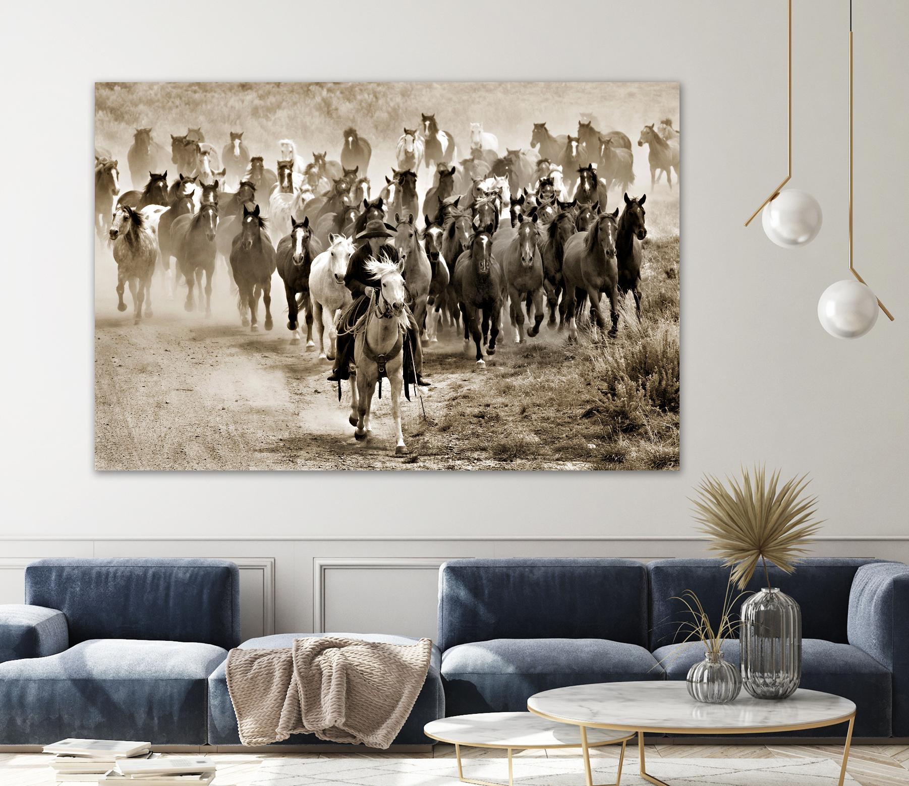 Heading Home by Lisa Dearing on GIANT ART - multicolor photography; animals; figurative