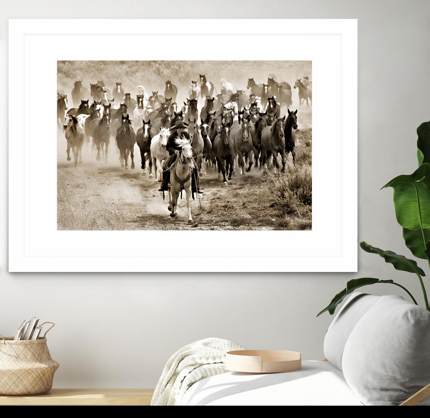 Heading Home by Lisa Dearing on GIANT ART - multicolor photography; animals; figurative