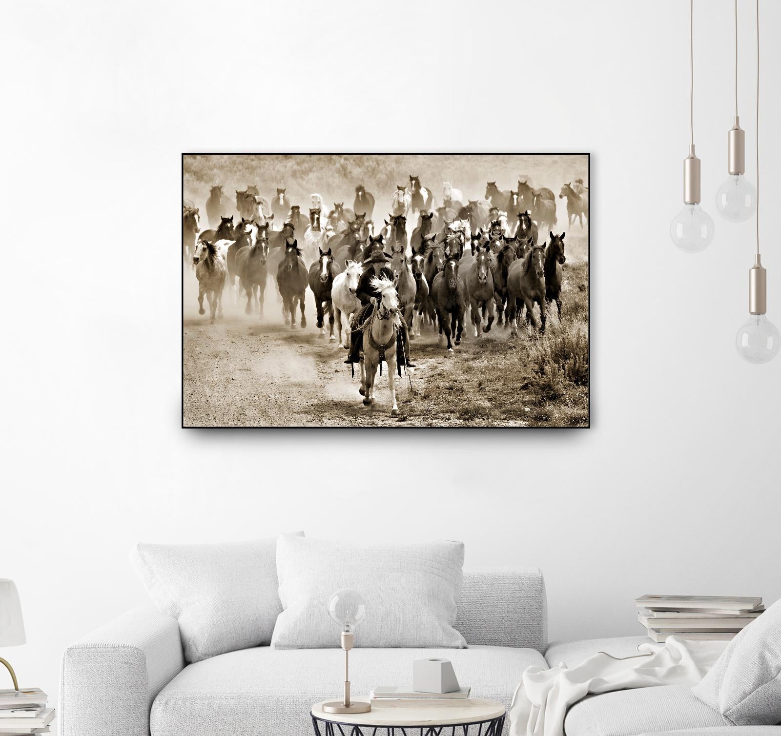 Heading Home by Lisa Dearing on GIANT ART - multicolor photography; animals; figurative