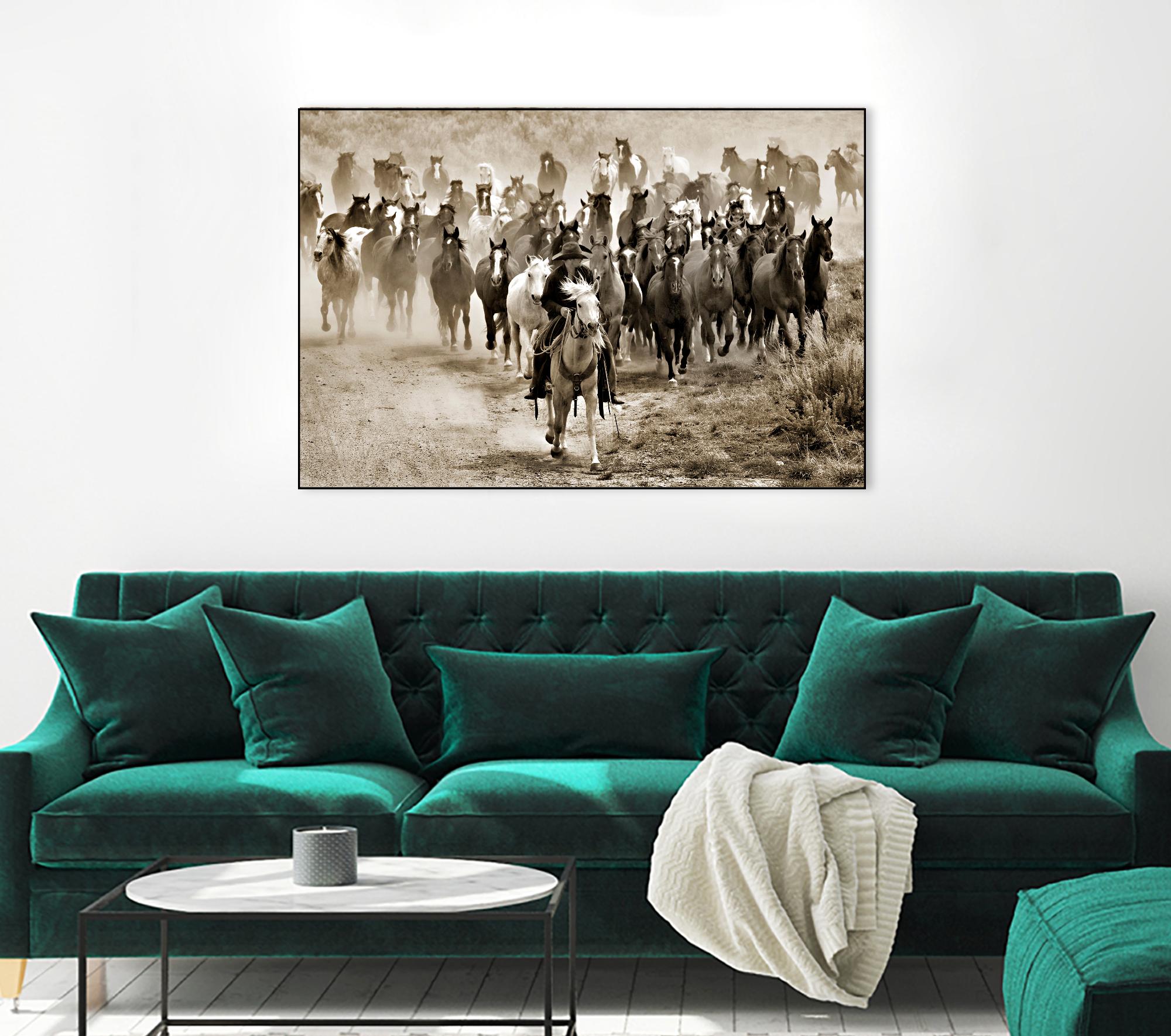 Heading Home by Lisa Dearing on GIANT ART - multicolor photography; animals; figurative