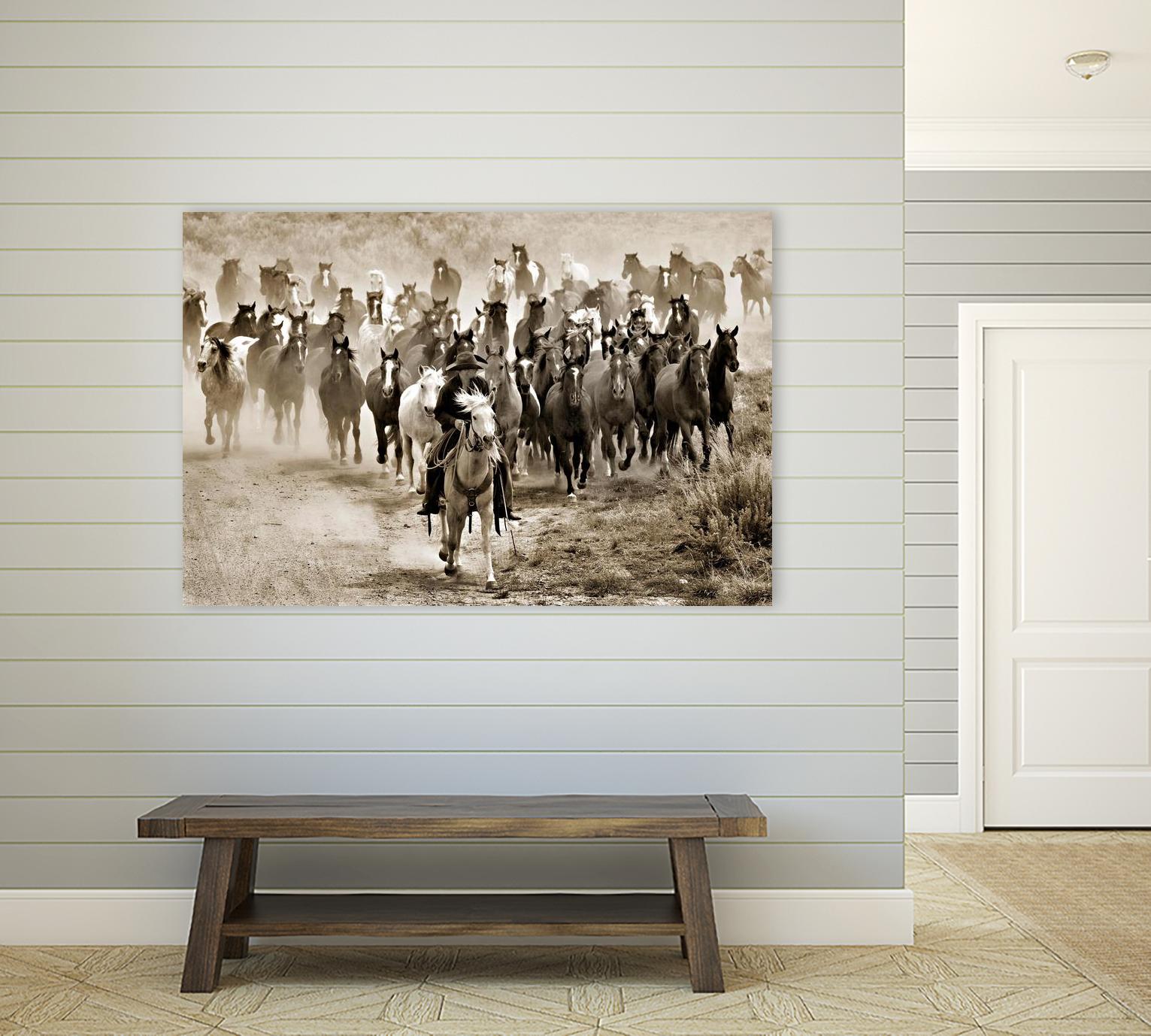 Heading Home by Lisa Dearing on GIANT ART - multicolor photography; animals; figurative