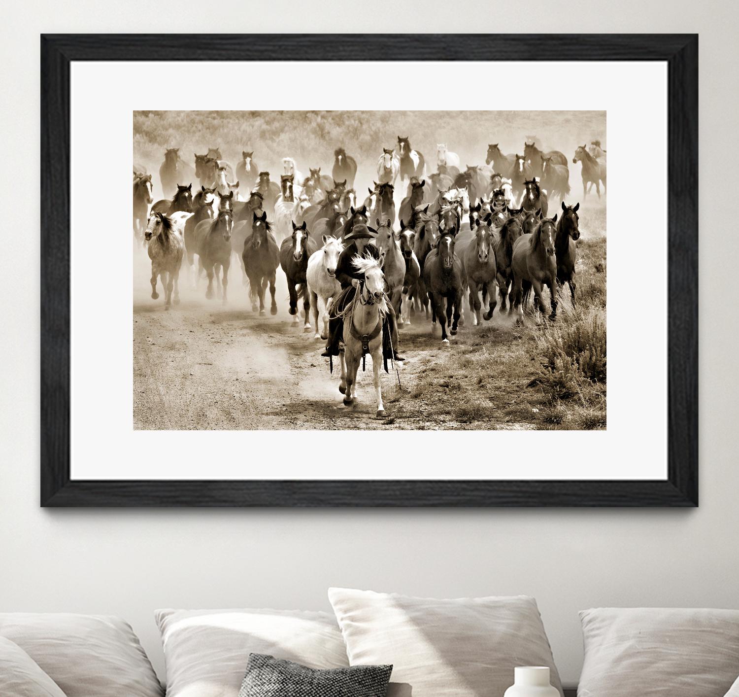 Heading Home by Lisa Dearing on GIANT ART - multicolor photography; animals; figurative