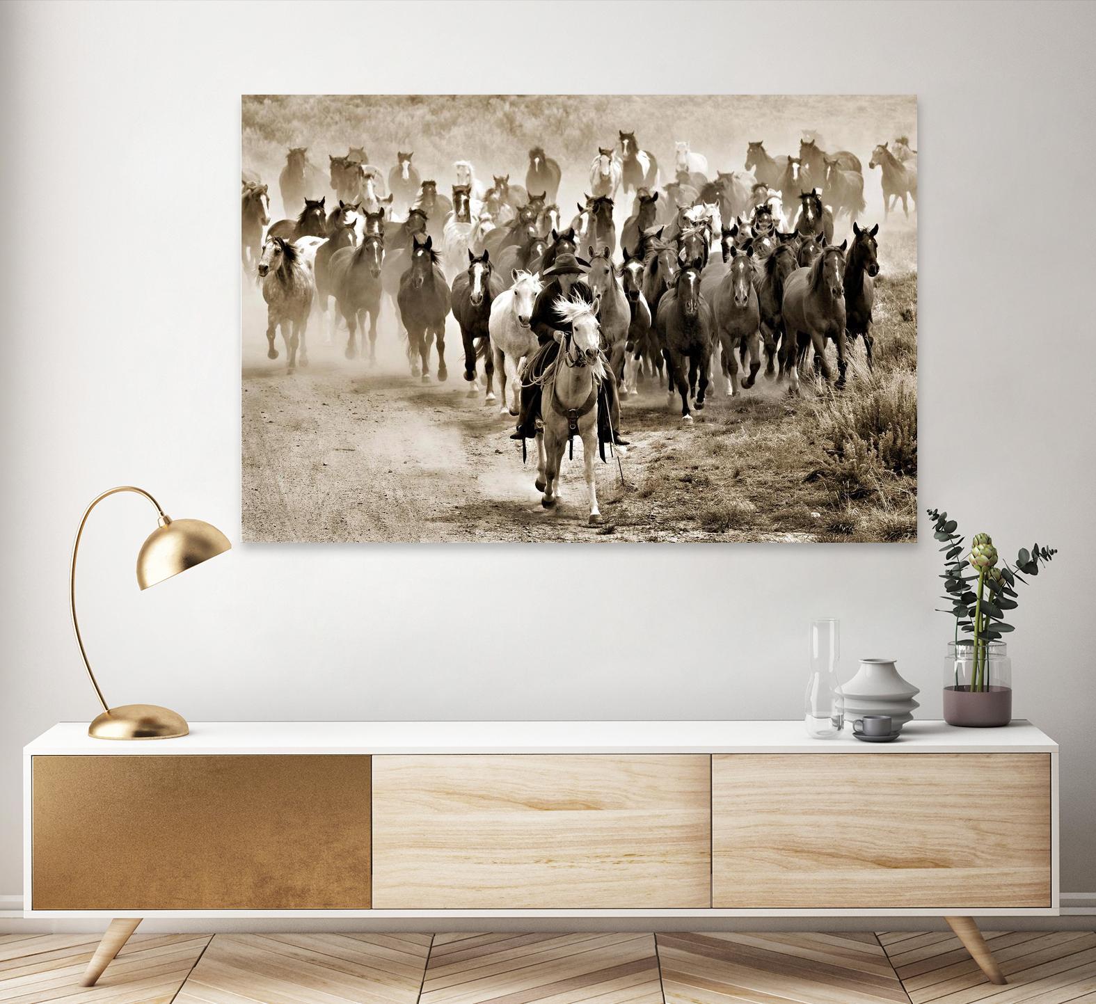 Heading Home by Lisa Dearing on GIANT ART - multicolor photography; animals; figurative