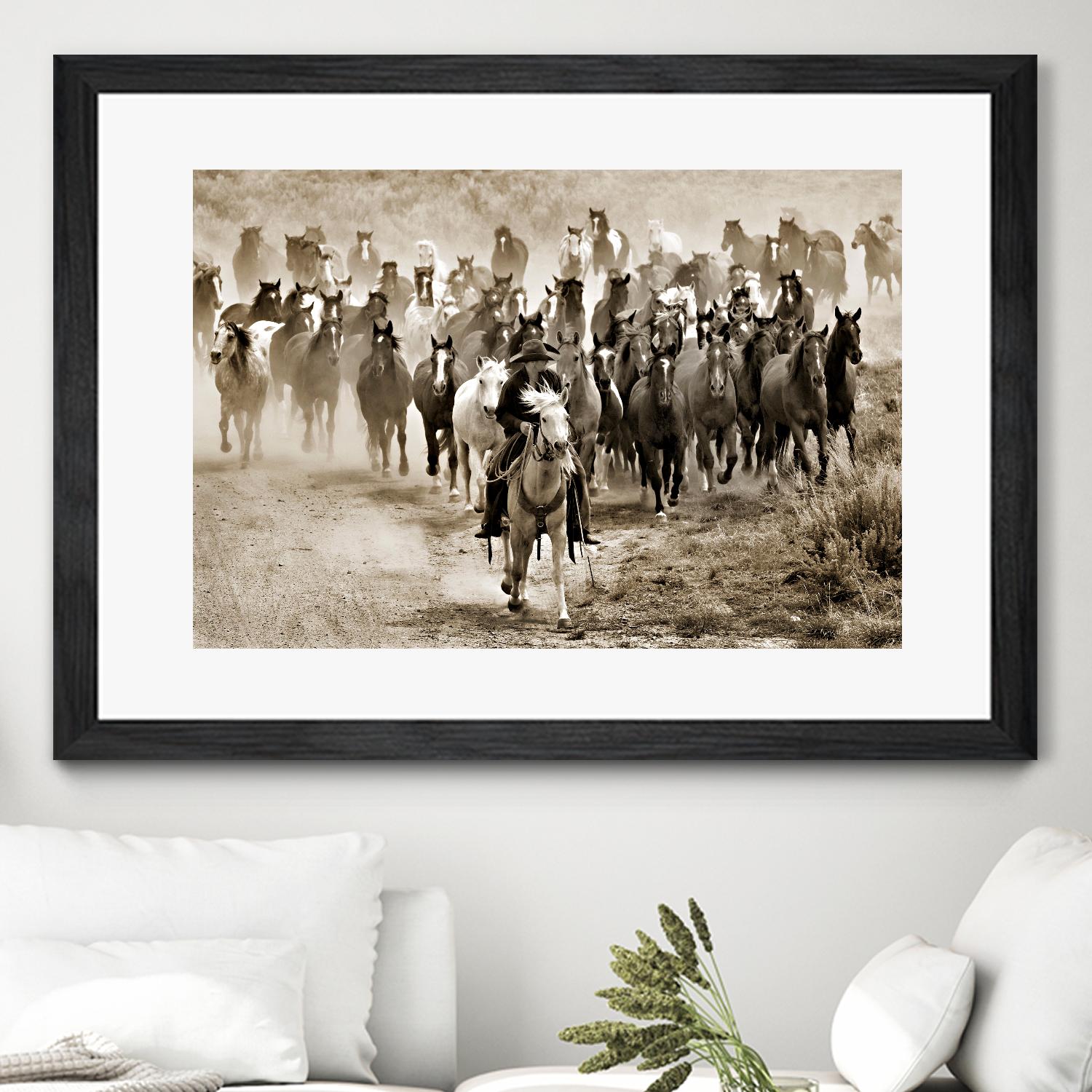 Heading Home by Lisa Dearing on GIANT ART - multicolor photography; animals; figurative