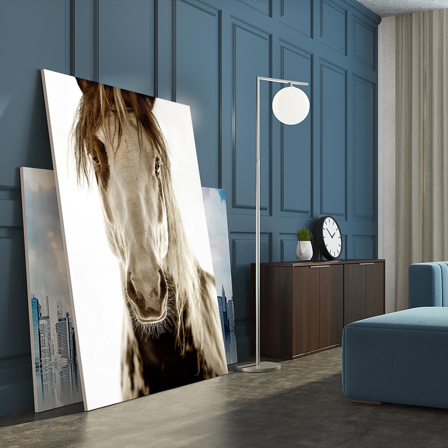 Wilbur Cruz by Lisa Dearing on GIANT ART - multicolor photography; animals