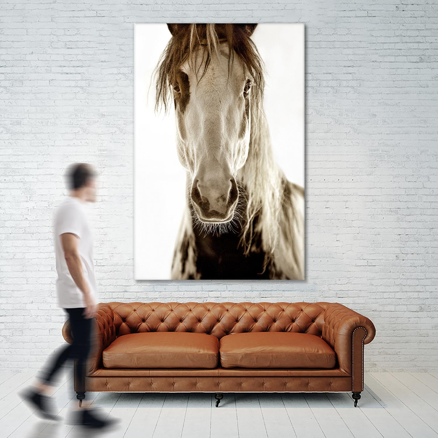 Wilbur Cruz by Lisa Dearing on GIANT ART - multicolor photography; animals