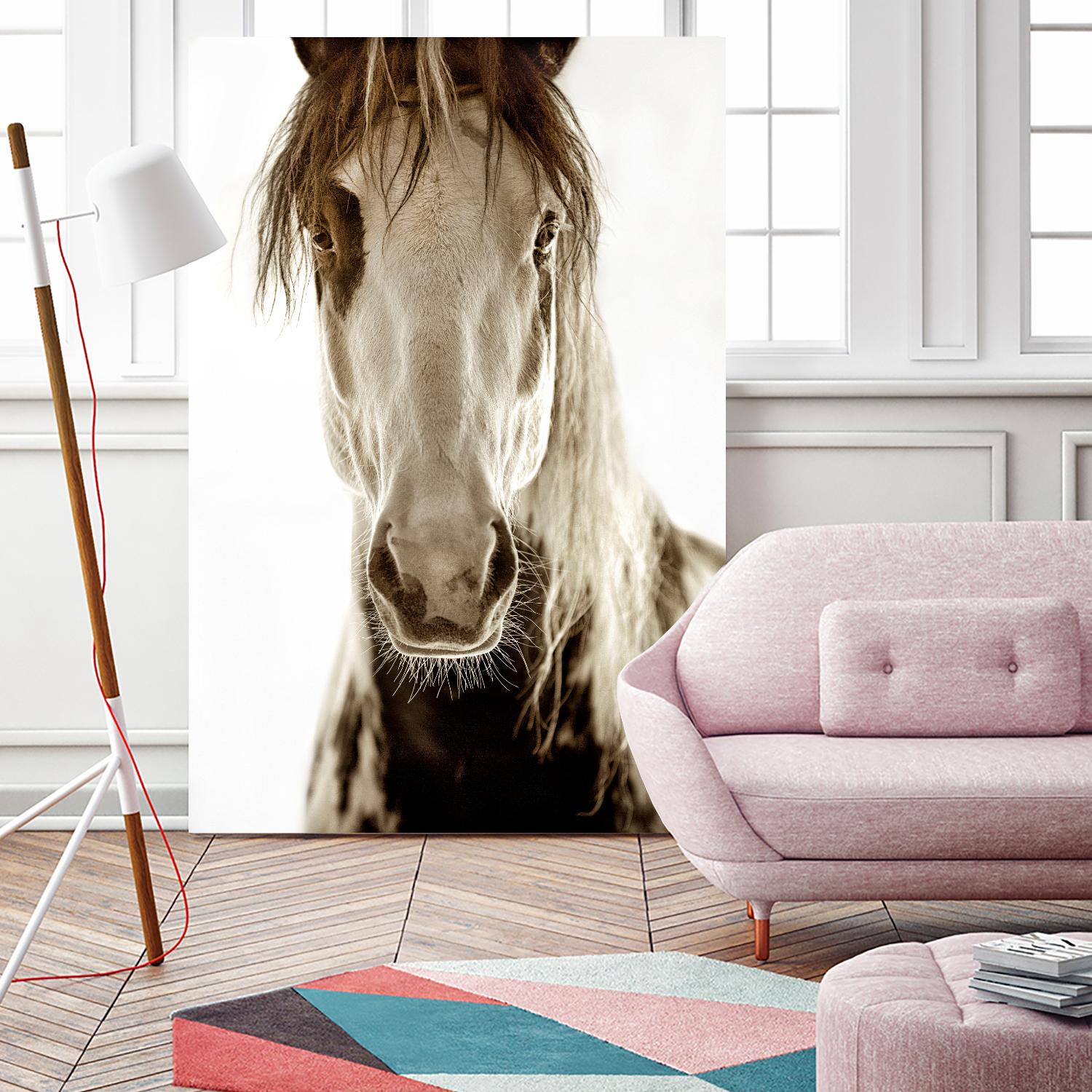 Wilbur Cruz by Lisa Dearing on GIANT ART - multicolor photography; animals