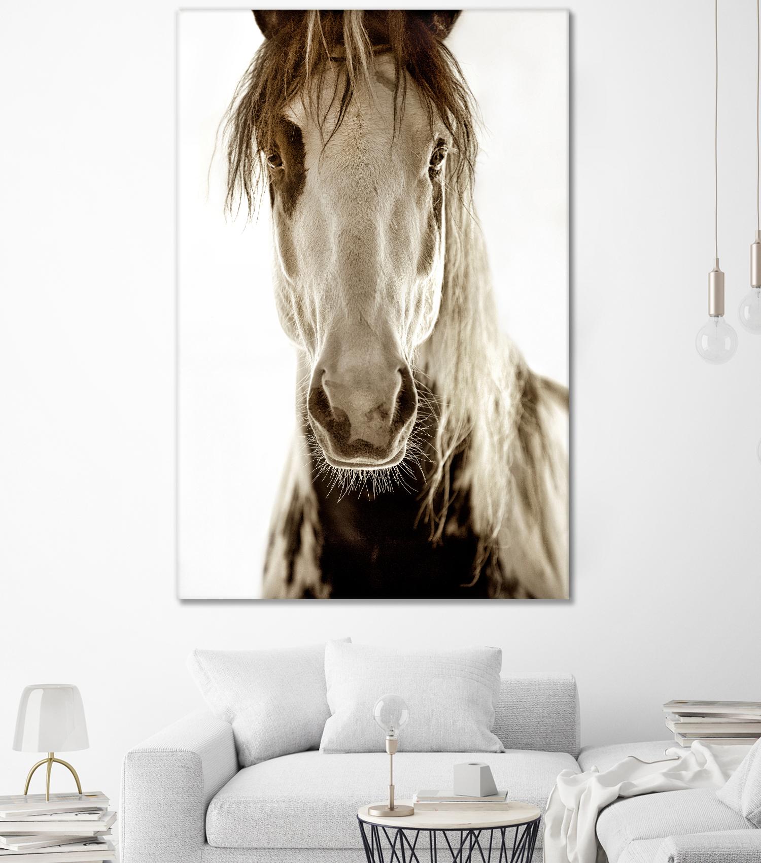 Wilbur Cruz by Lisa Dearing on GIANT ART - multicolor photography; animals