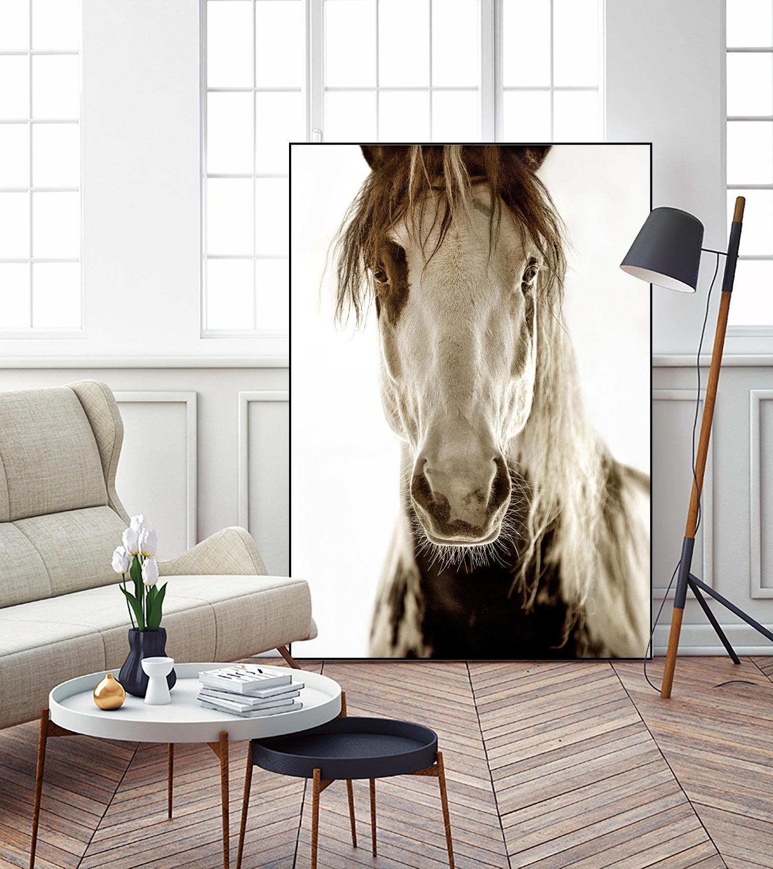 Wilbur Cruz by Lisa Dearing on GIANT ART - multicolor photography; animals