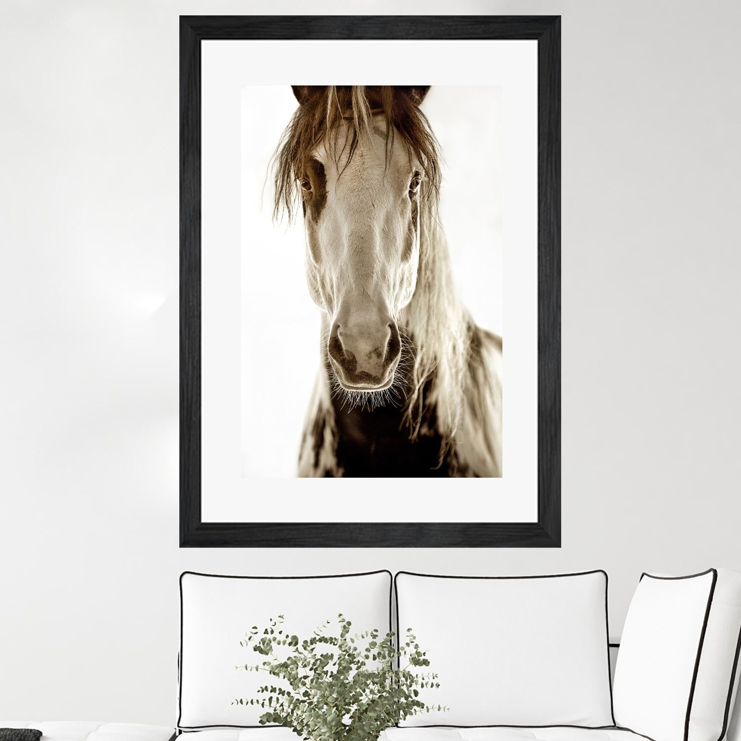 Wilbur Cruz by Lisa Dearing on GIANT ART - multicolor photography; animals