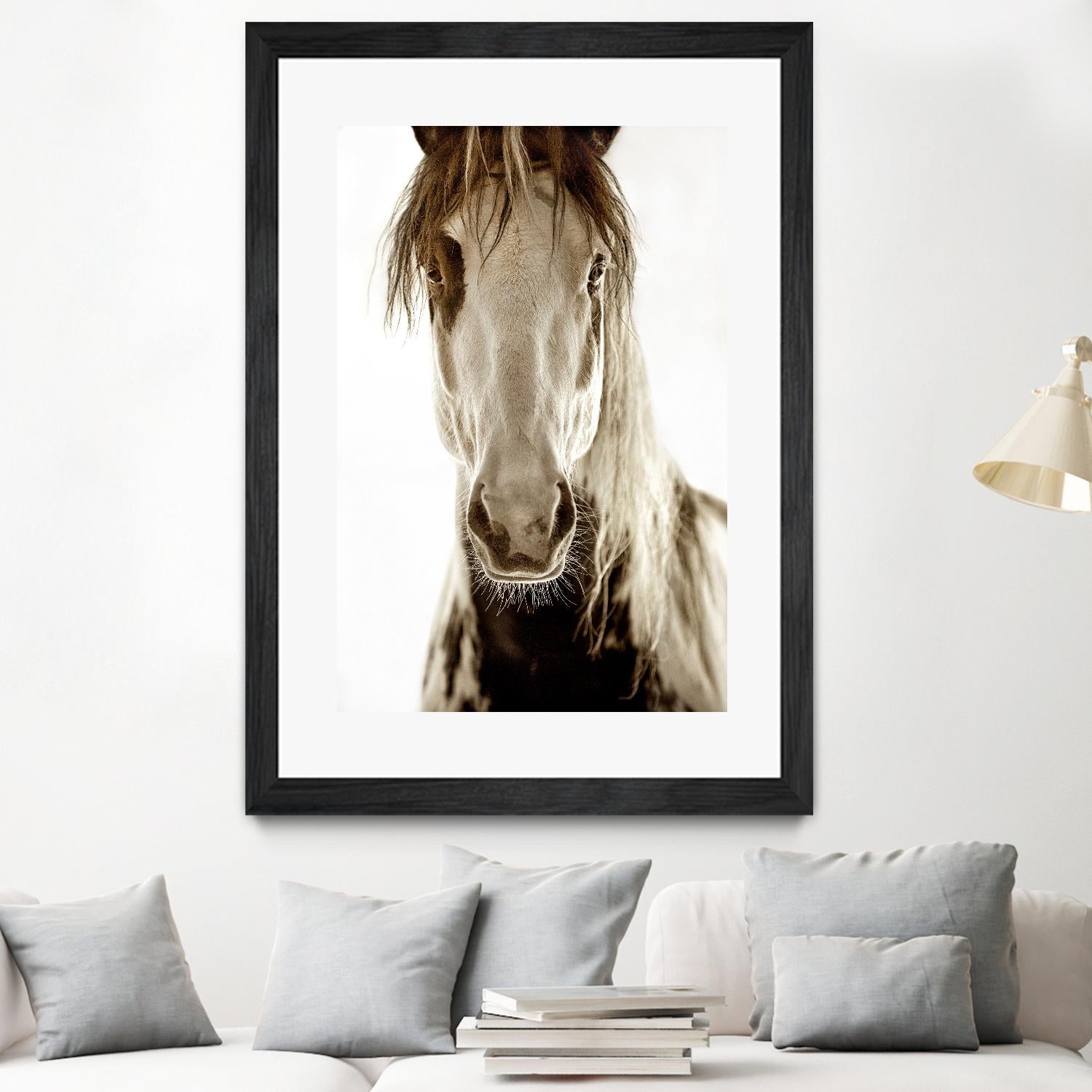 Wilbur Cruz by Lisa Dearing on GIANT ART - multicolor photography; animals