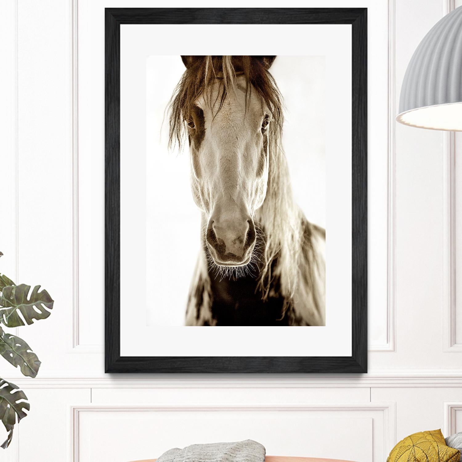 Wilbur Cruz by Lisa Dearing on GIANT ART - multicolor photography; animals