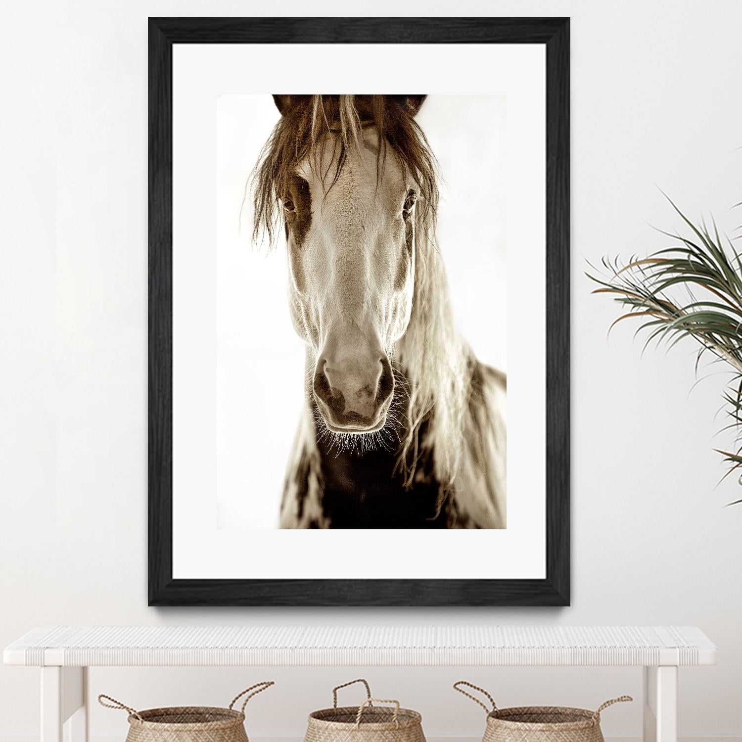 Wilbur Cruz by Lisa Dearing on GIANT ART - multicolor photography; animals