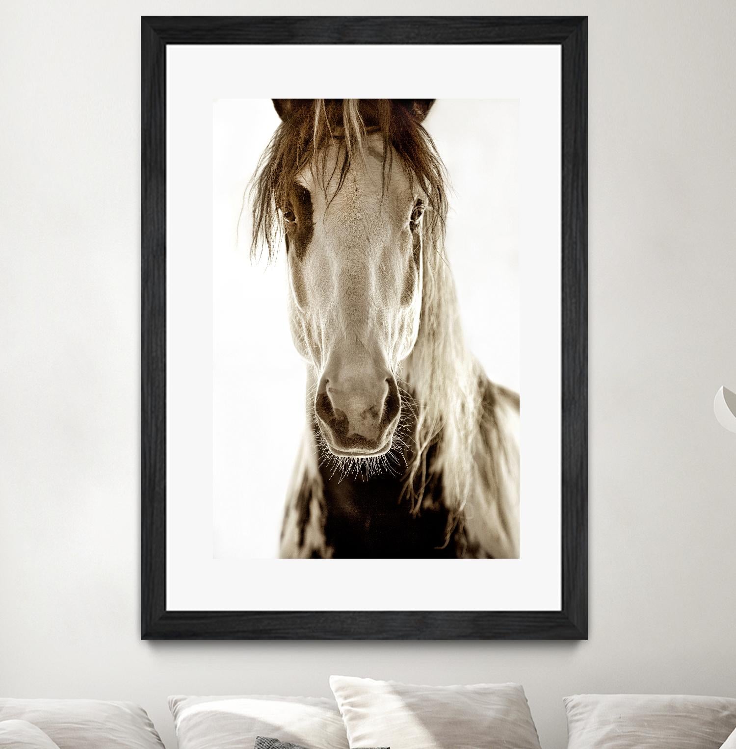 Wilbur Cruz by Lisa Dearing on GIANT ART - multicolor photography; animals