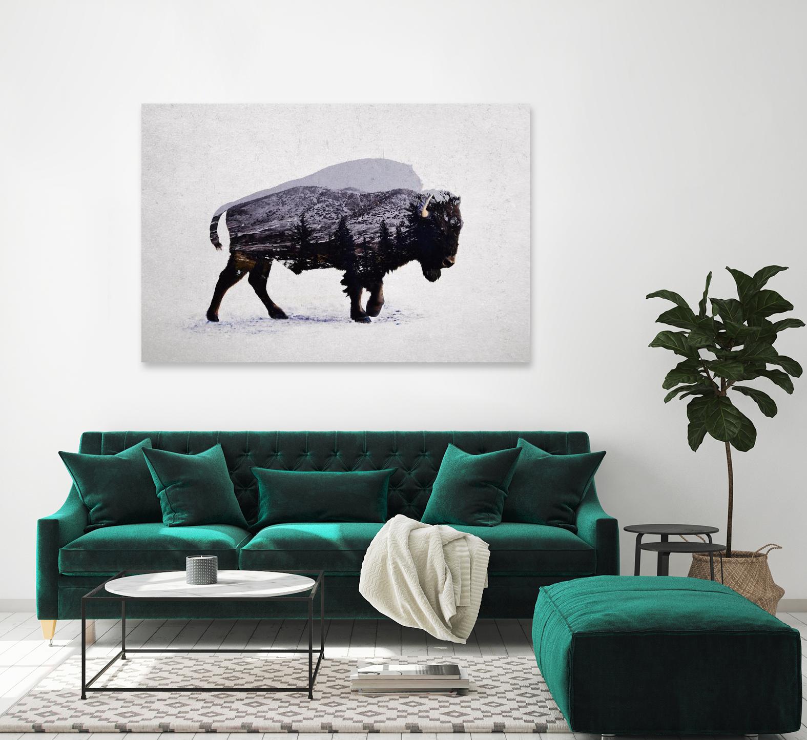 The American Bison by Davies Babies on GIANT ART - white animals