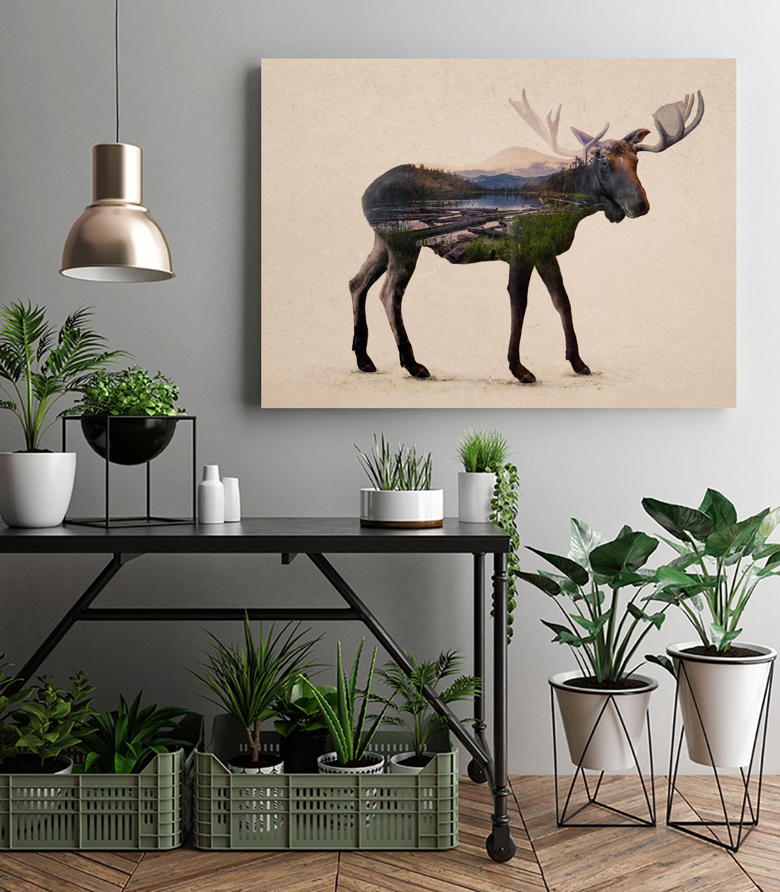 The Alaskan Bull Moose by Davies Babies on GIANT ART - multicolor animals; contemporary
