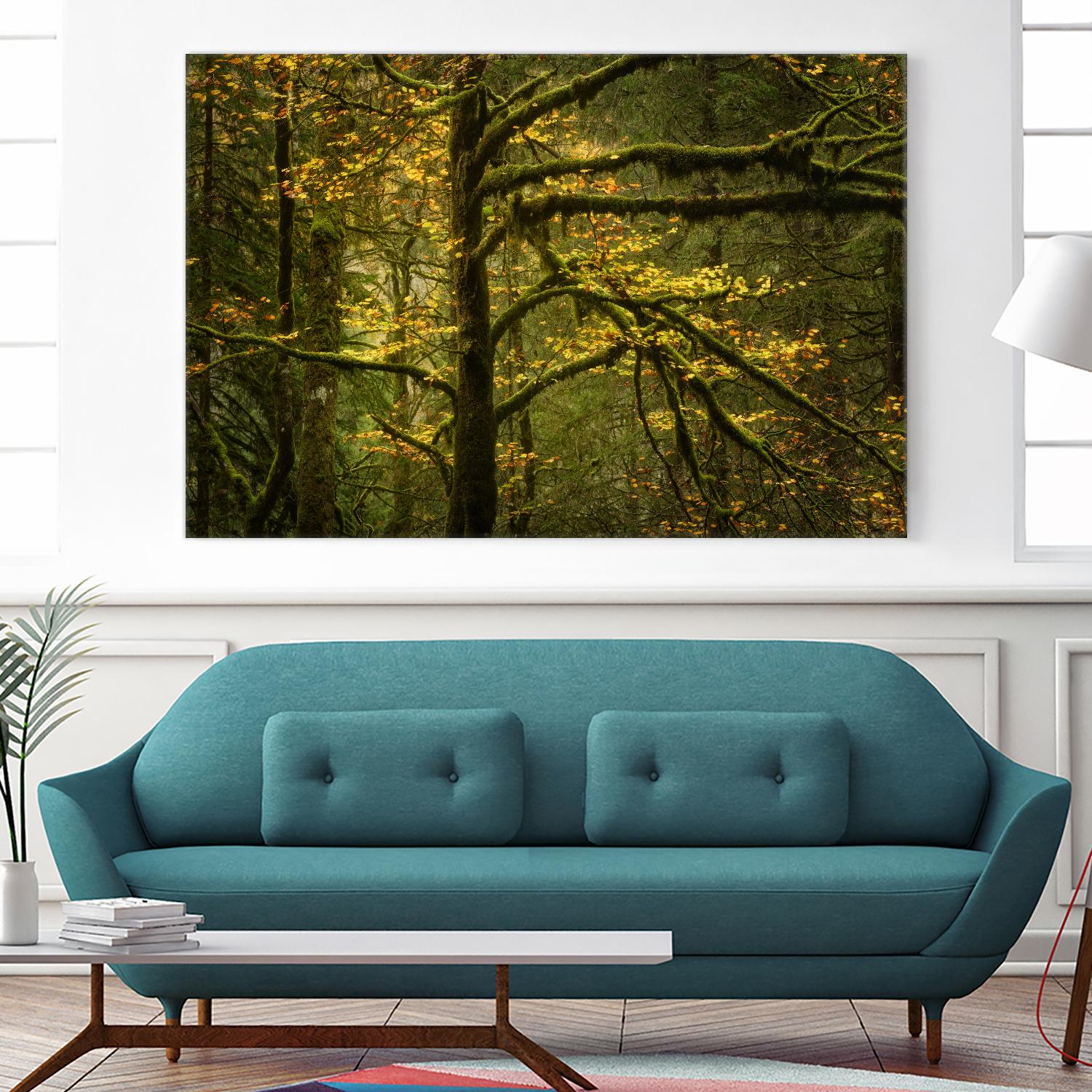 Golden Drops by Enrico Fossati on GIANT ART - multicolor photography; landscapes