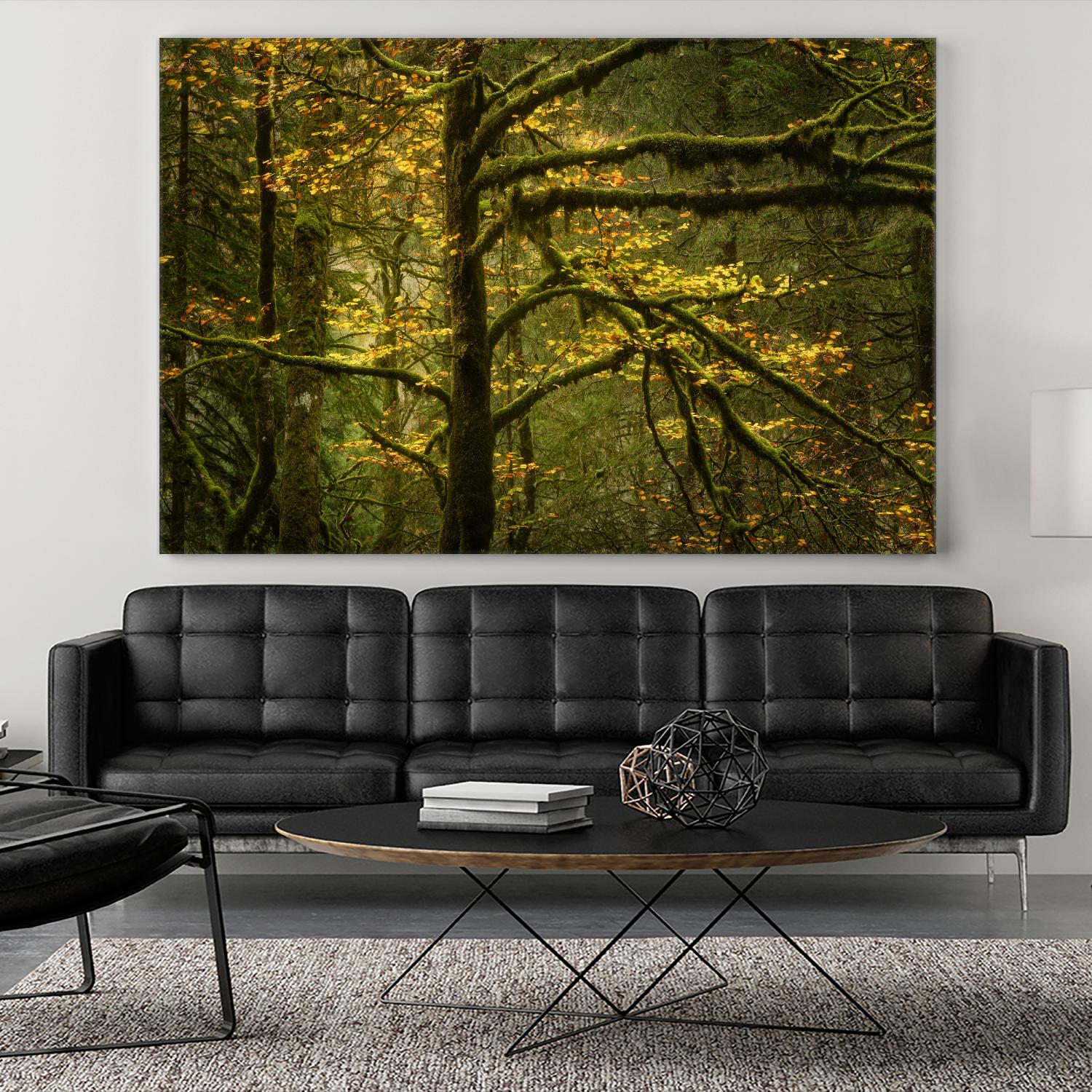 Golden Drops by Enrico Fossati on GIANT ART - multicolor photography; landscapes