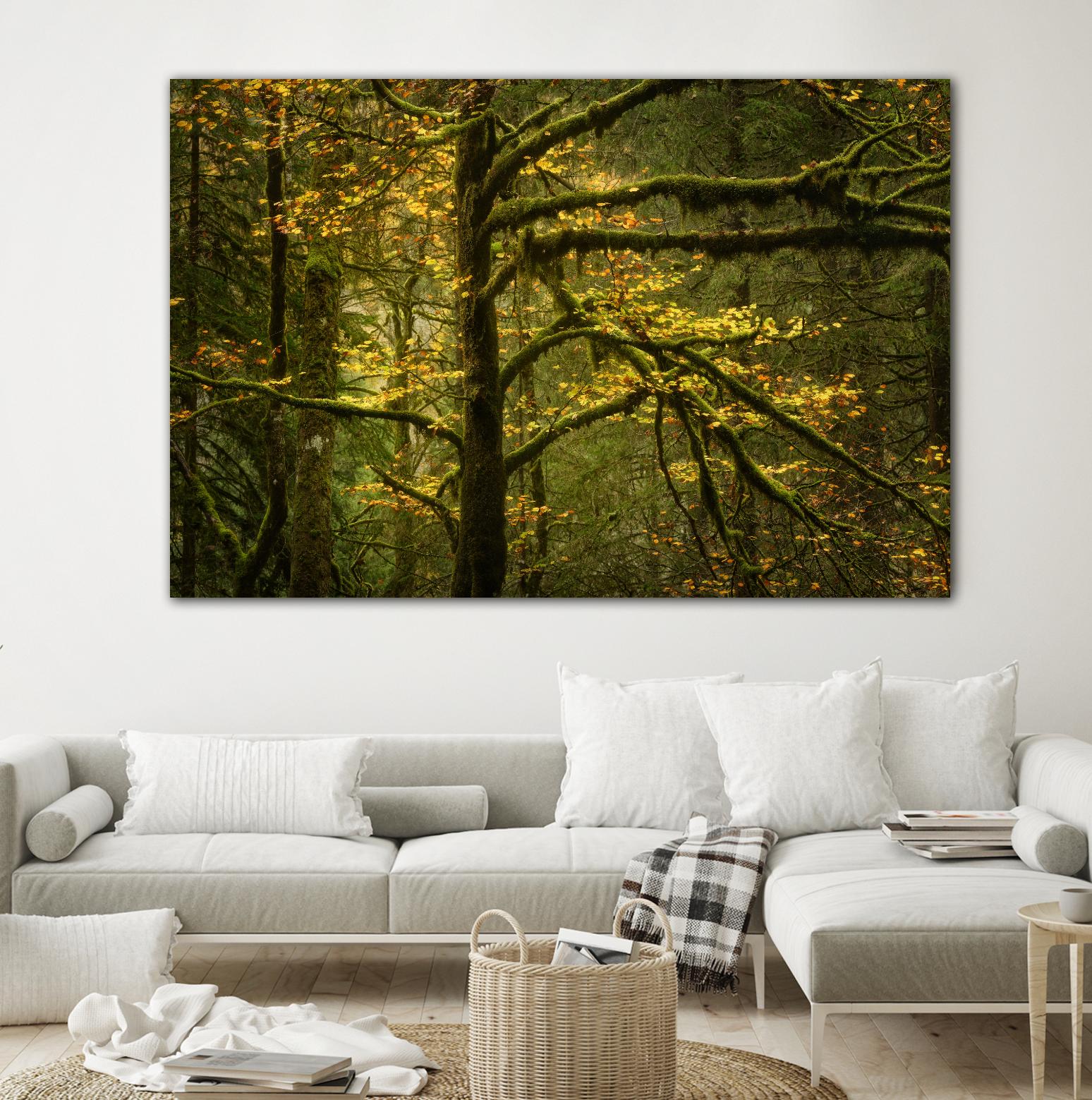 Golden Drops by Enrico Fossati on GIANT ART - multicolor photography; landscapes