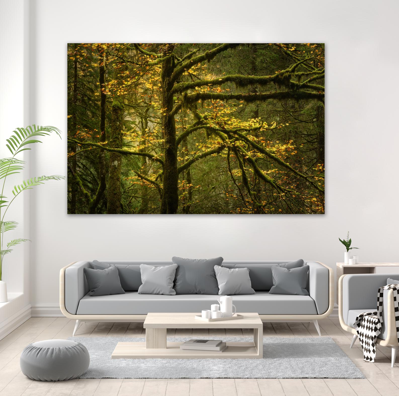 Golden Drops by Enrico Fossati on GIANT ART - multicolor photography; landscapes