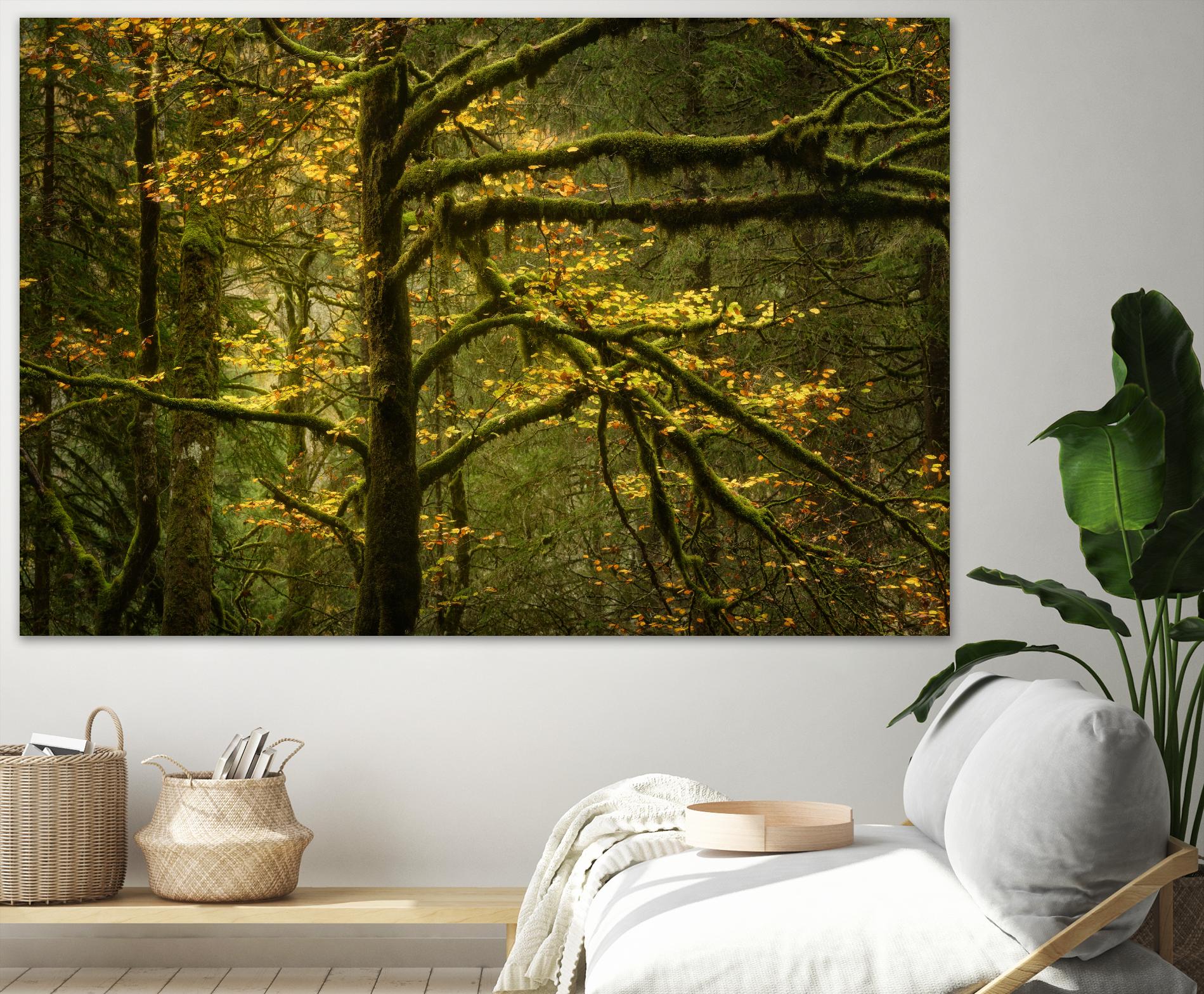 Golden Drops by Enrico Fossati on GIANT ART - multicolor photography; landscapes