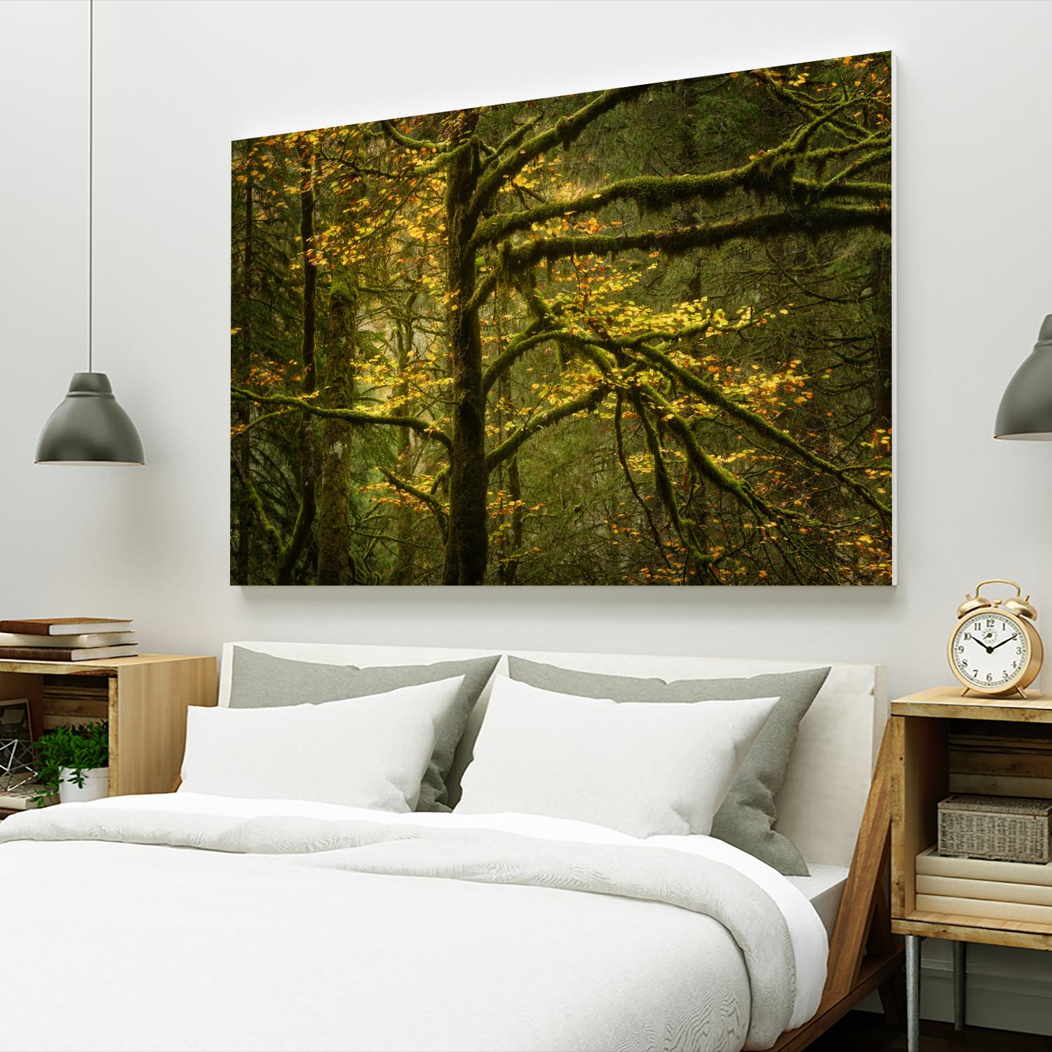 Golden Drops by Enrico Fossati on GIANT ART - multicolor photography; landscapes