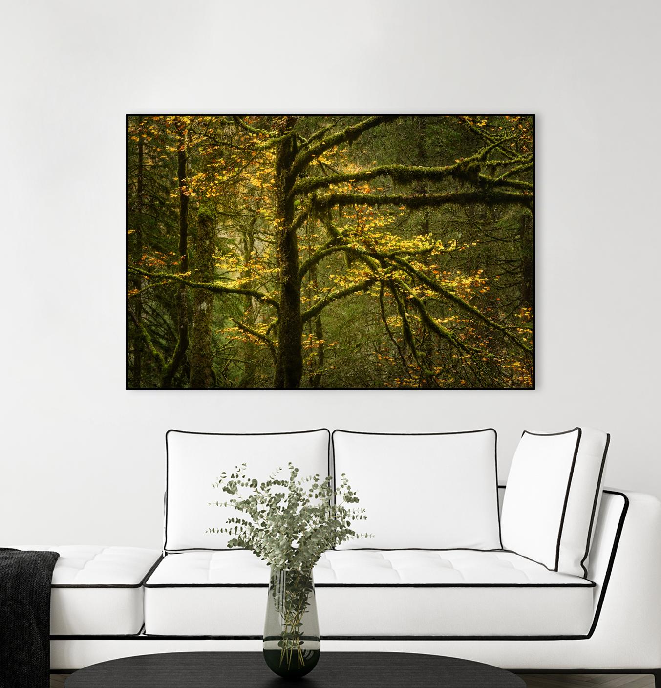 Golden Drops by Enrico Fossati on GIANT ART - multicolor photography; landscapes