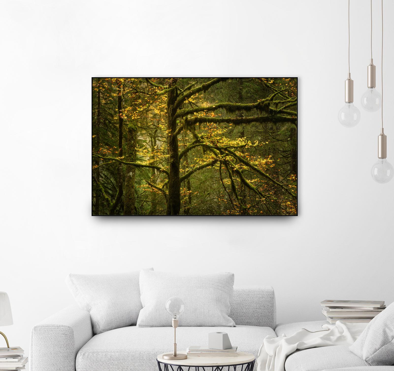 Golden Drops by Enrico Fossati on GIANT ART - multicolor photography; landscapes