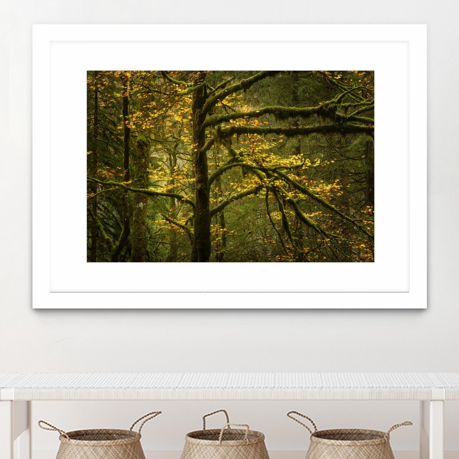 Golden Drops by Enrico Fossati on GIANT ART - multicolor photography; landscapes