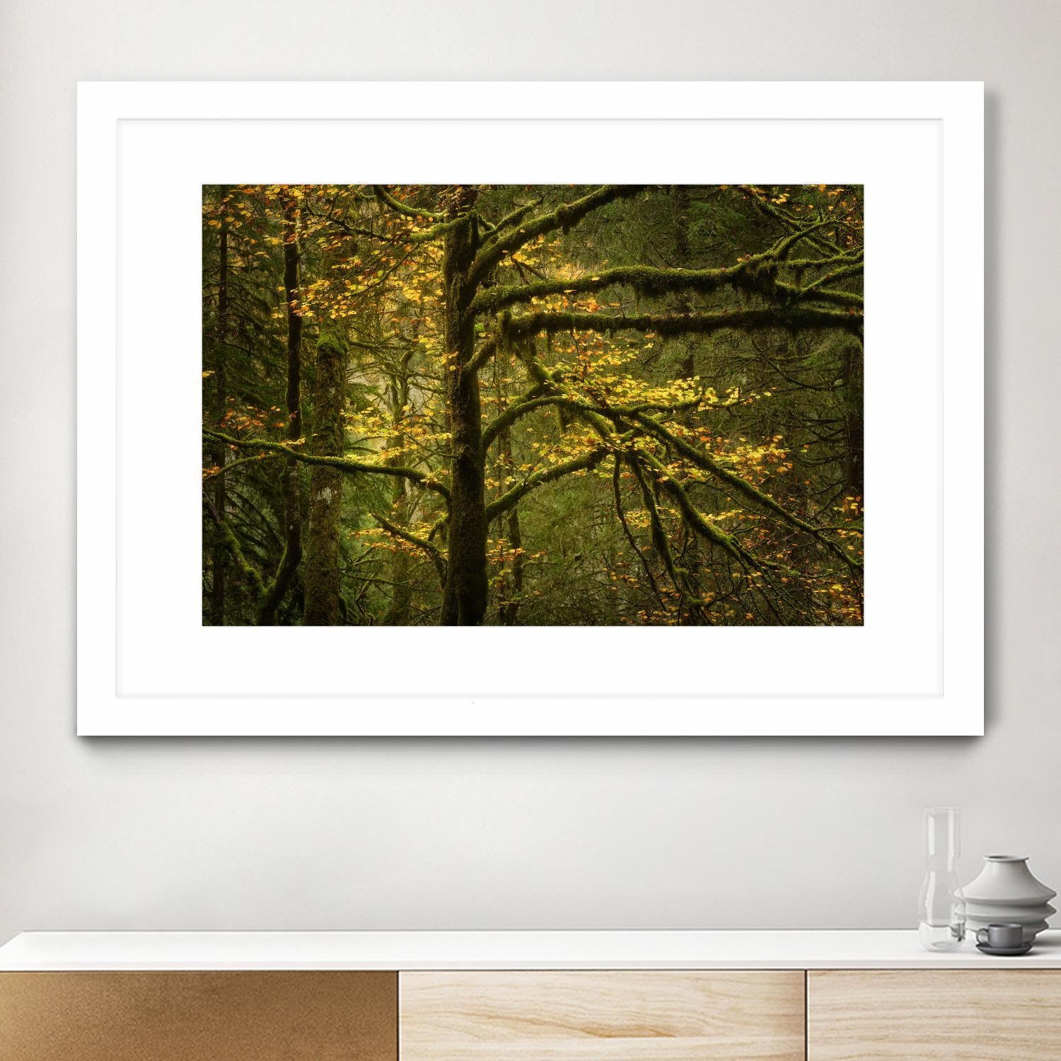 Golden Drops by Enrico Fossati on GIANT ART - multicolor photography; landscapes