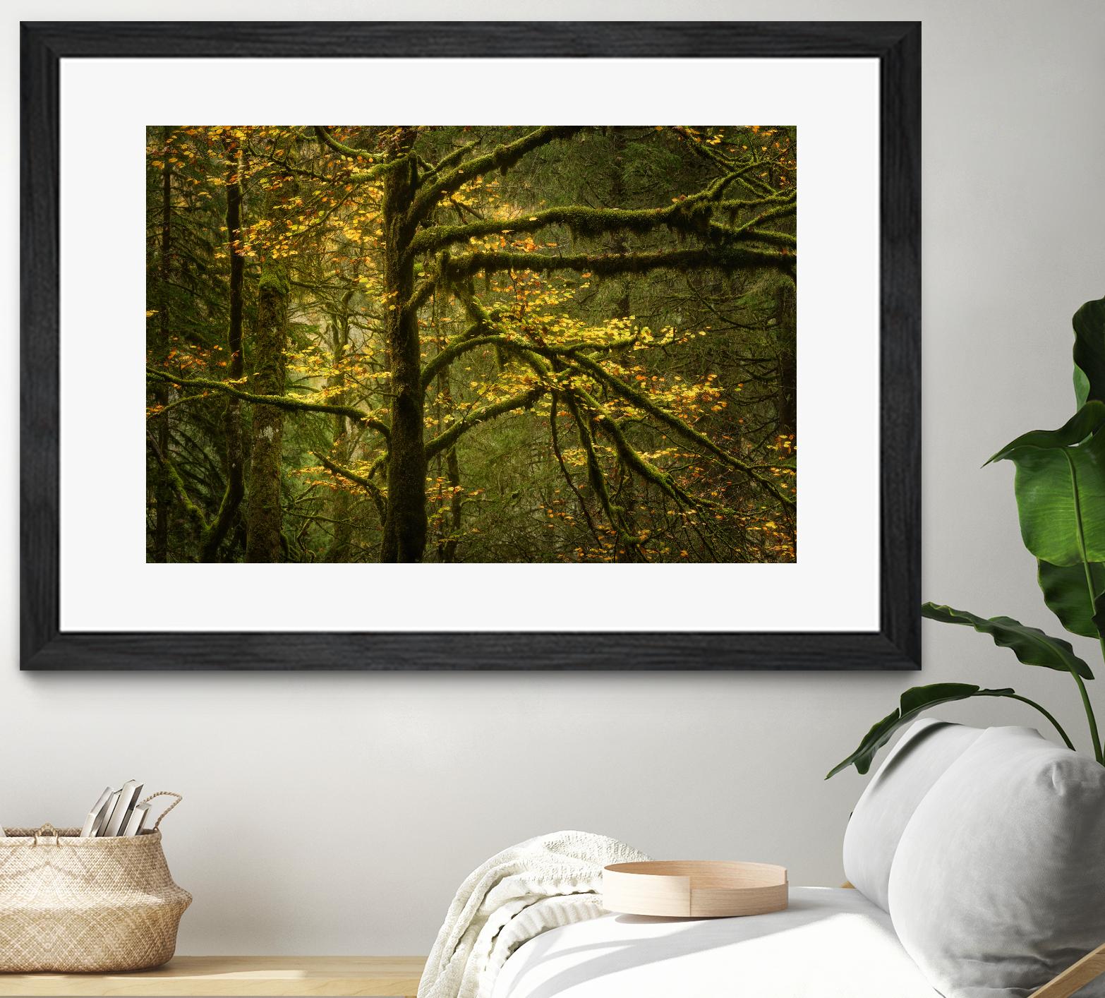 Golden Drops by Enrico Fossati on GIANT ART - multicolor photography; landscapes