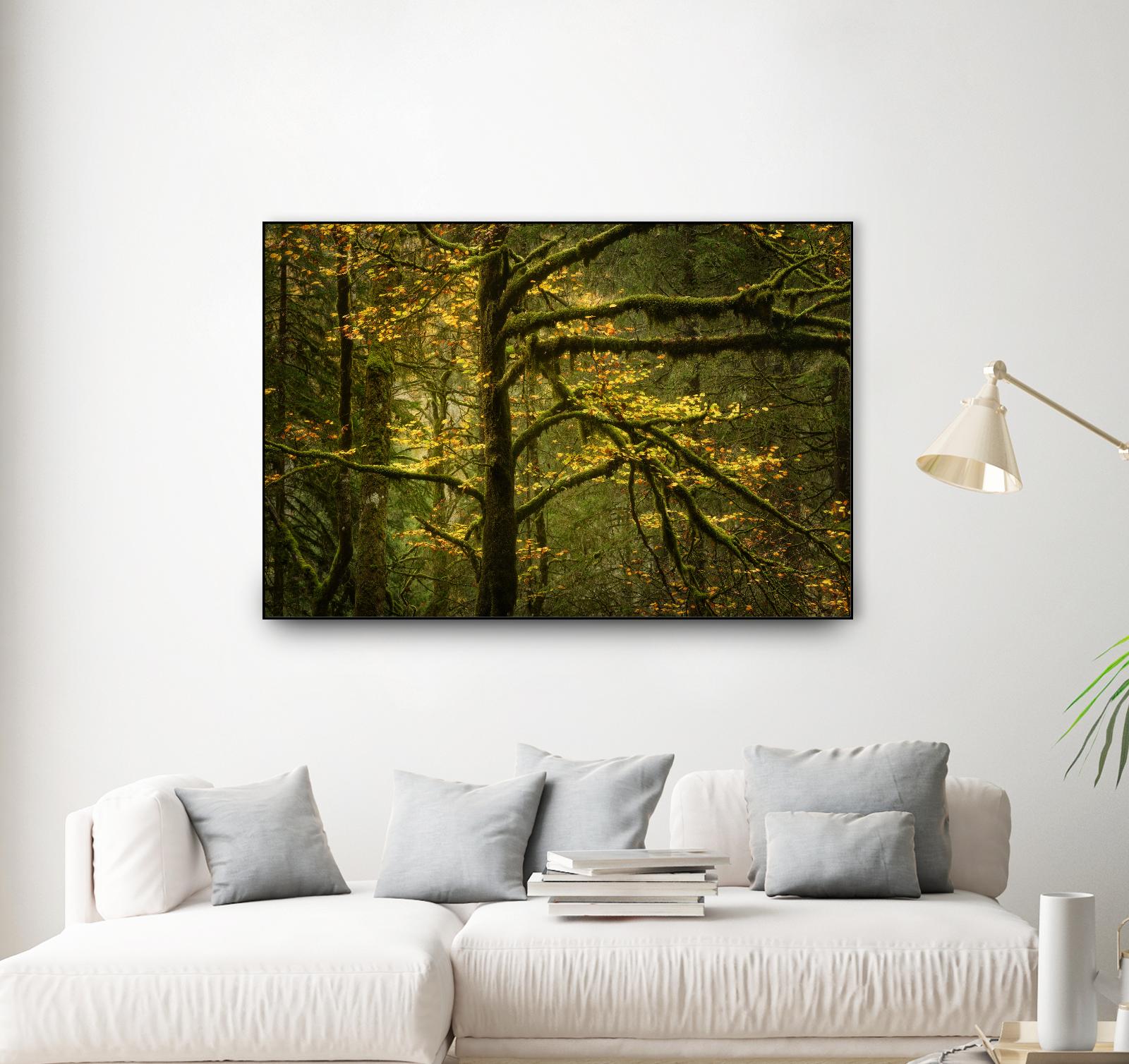 Golden Drops by Enrico Fossati on GIANT ART - multicolor photography; landscapes