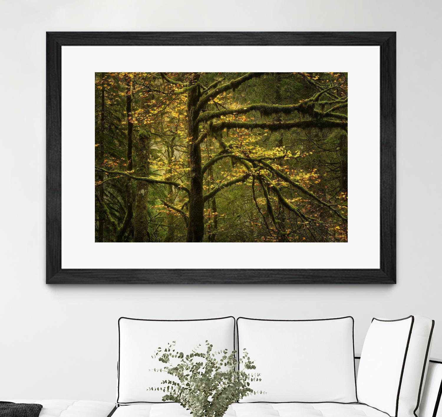 Golden Drops by Enrico Fossati on GIANT ART - multicolor photography; landscapes