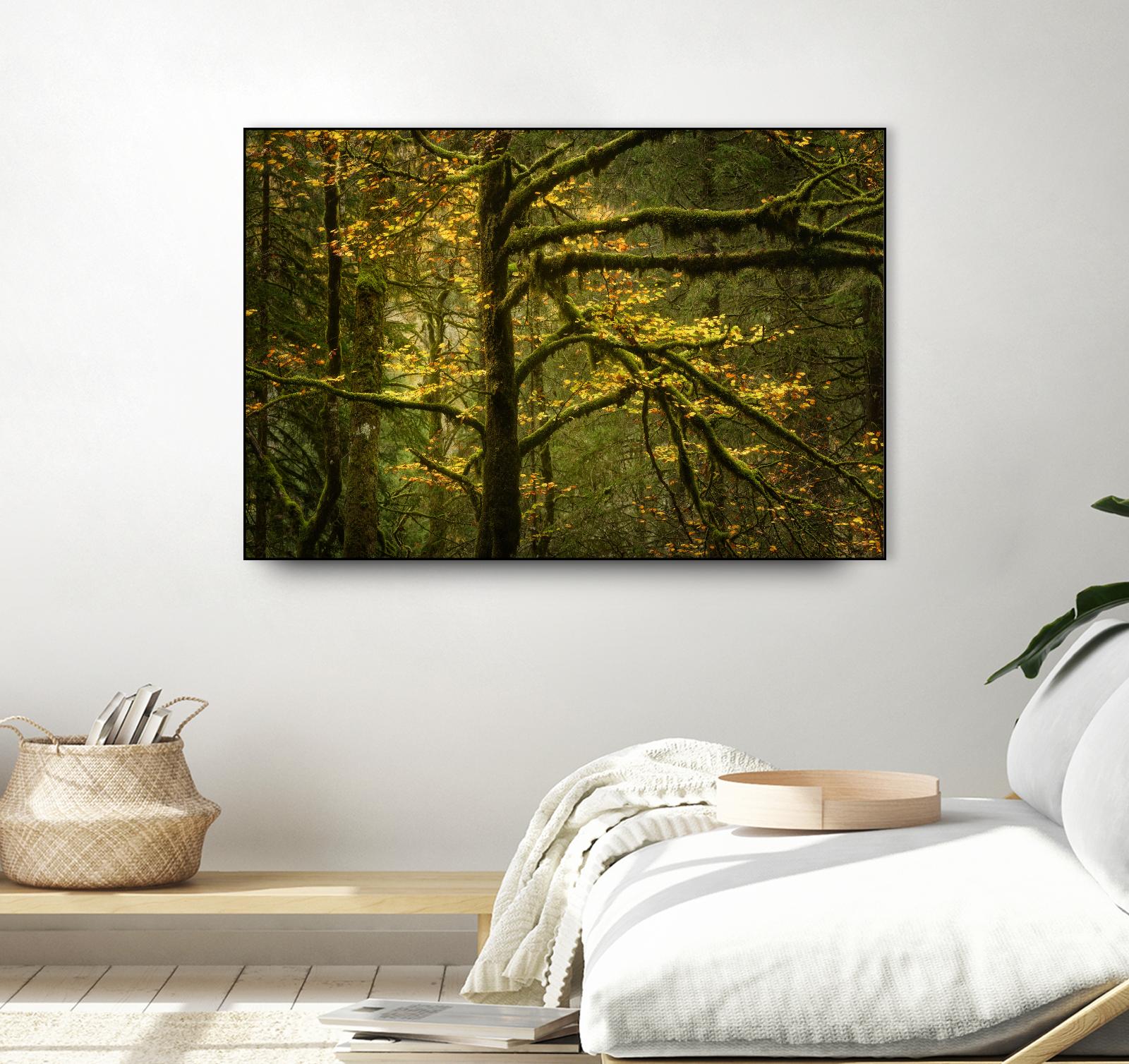 Golden Drops by Enrico Fossati on GIANT ART - multicolor photography; landscapes