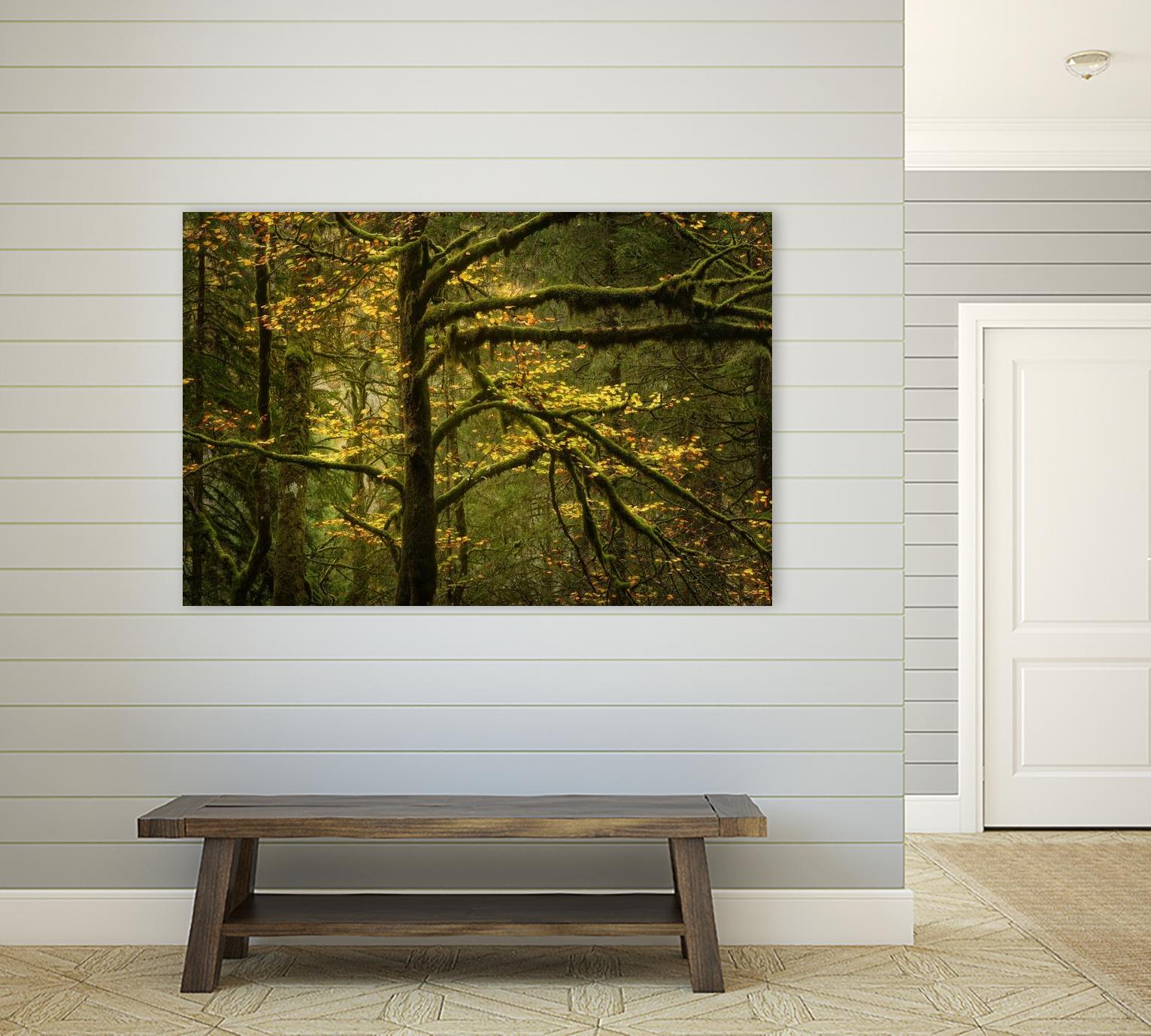 Golden Drops by Enrico Fossati on GIANT ART - multicolor photography; landscapes