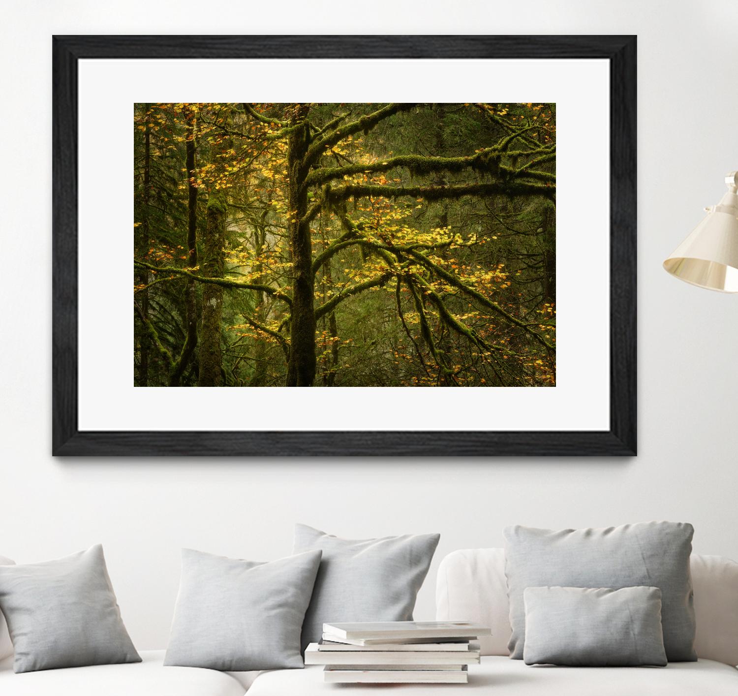 Golden Drops by Enrico Fossati on GIANT ART - multicolor photography; landscapes