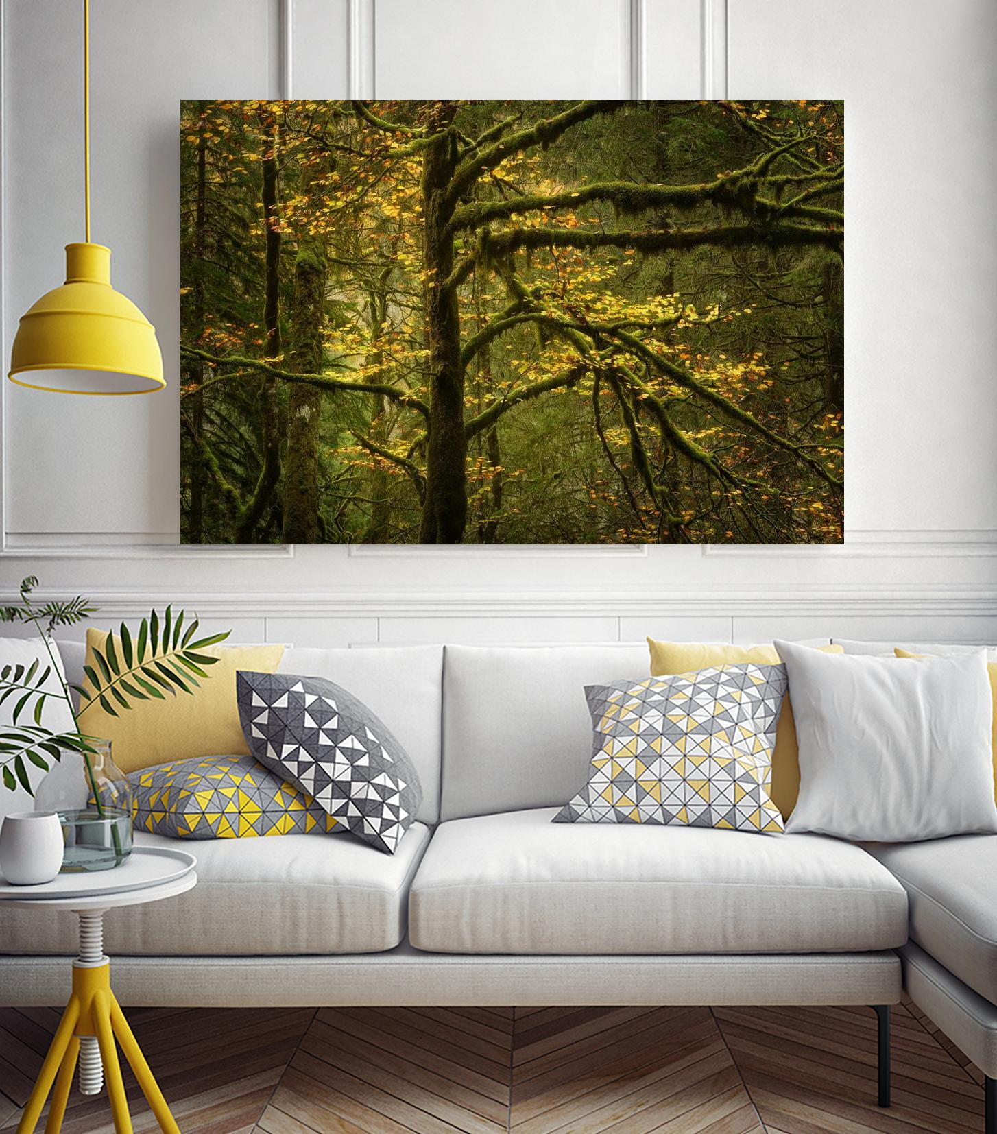 Golden Drops by Enrico Fossati on GIANT ART - multicolor photography; landscapes