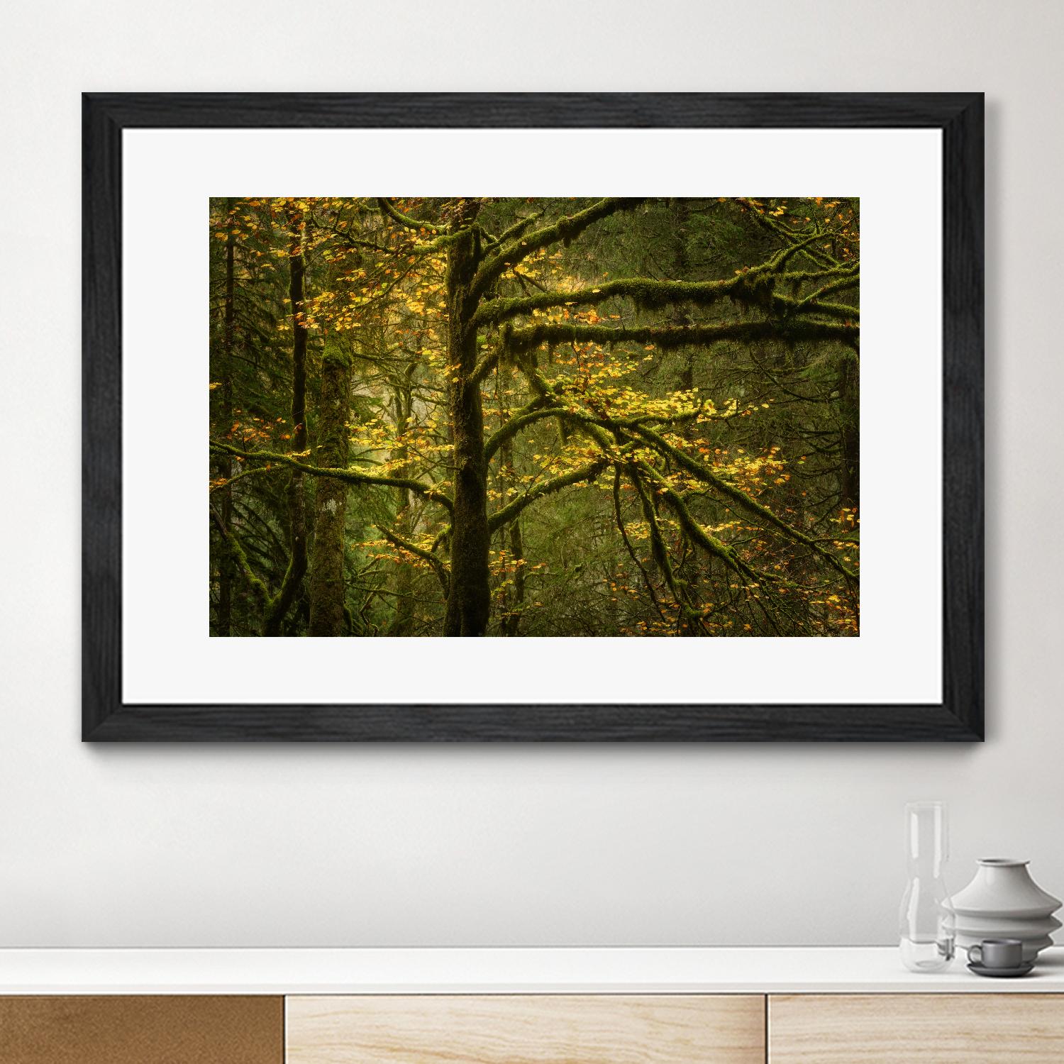 Golden Drops by Enrico Fossati on GIANT ART - multicolor photography; landscapes