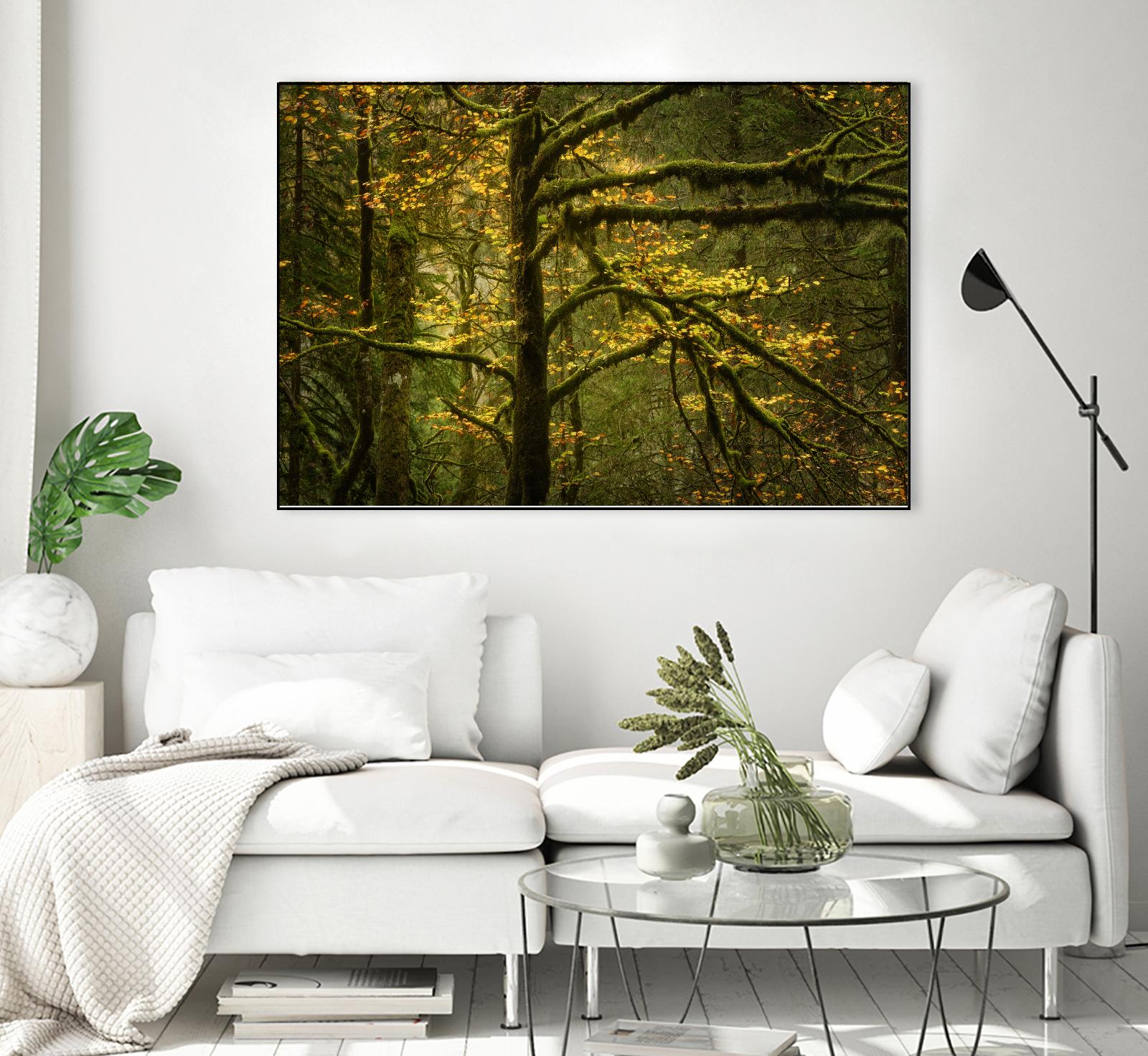 Golden Drops by Enrico Fossati on GIANT ART - multicolor photography; landscapes