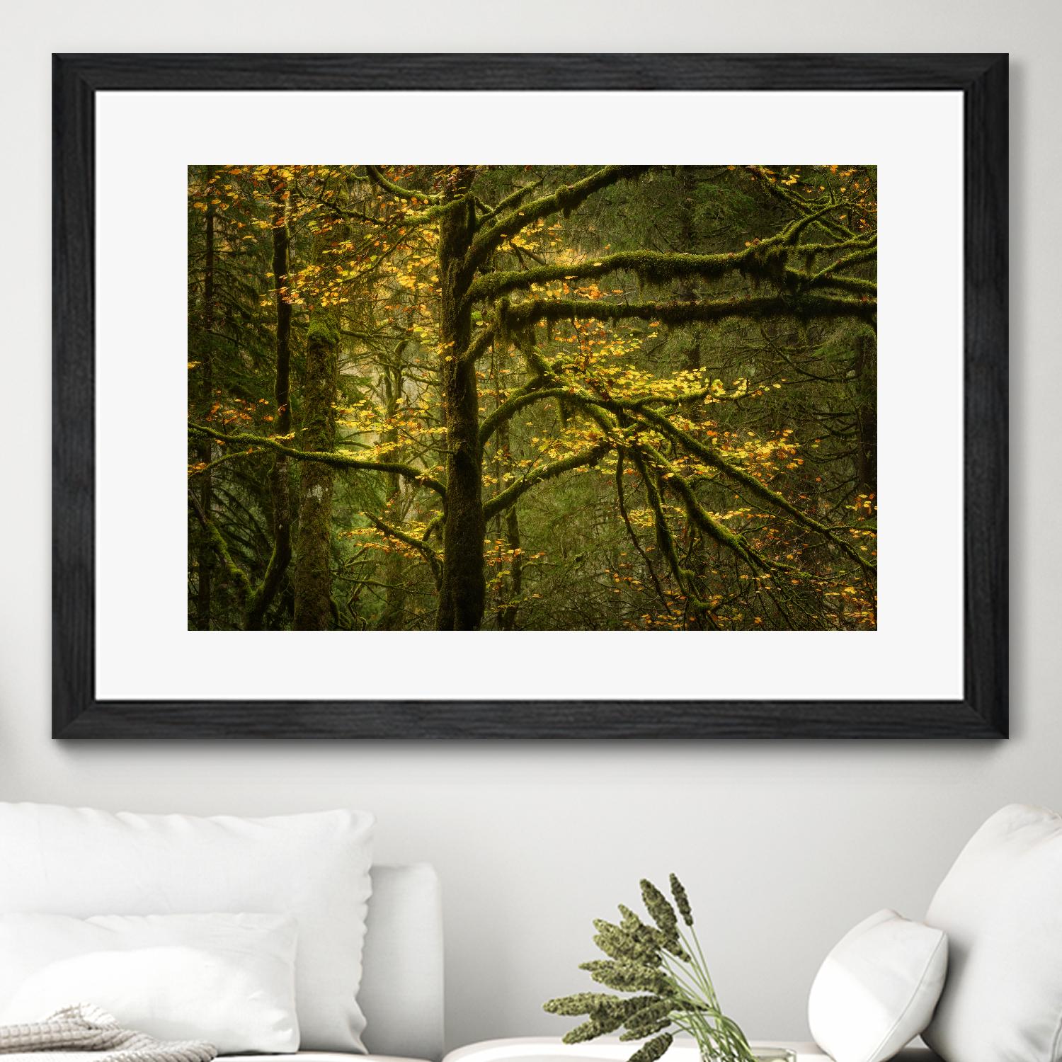 Golden Drops by Enrico Fossati on GIANT ART - multicolor photography; landscapes