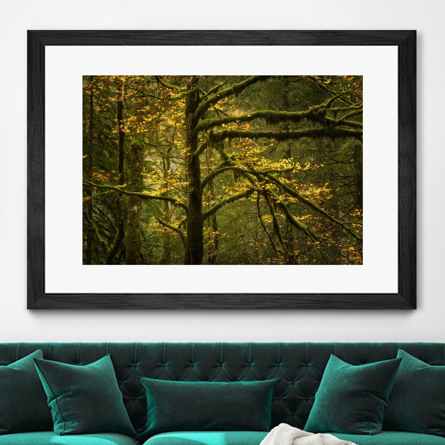 Golden Drops by Enrico Fossati on GIANT ART - multicolor photography; landscapes